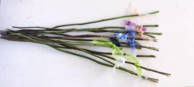  Dried rose stems are much more environmently friendly than the typical plastic picks. 