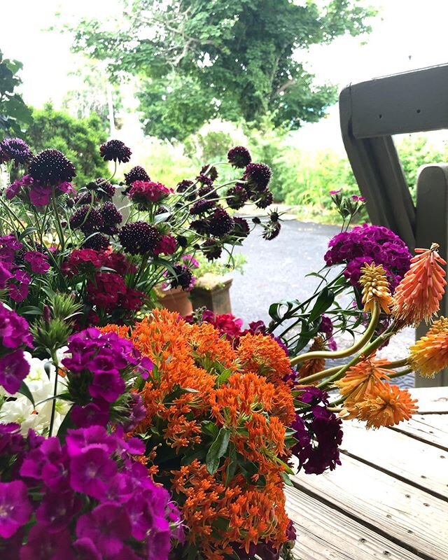 Vivid colors and wonderful blooms all locally grown. Butterfly weed, tritoma, dianthus, allium, scabiosa, snap dragons, and bells of Ireland.