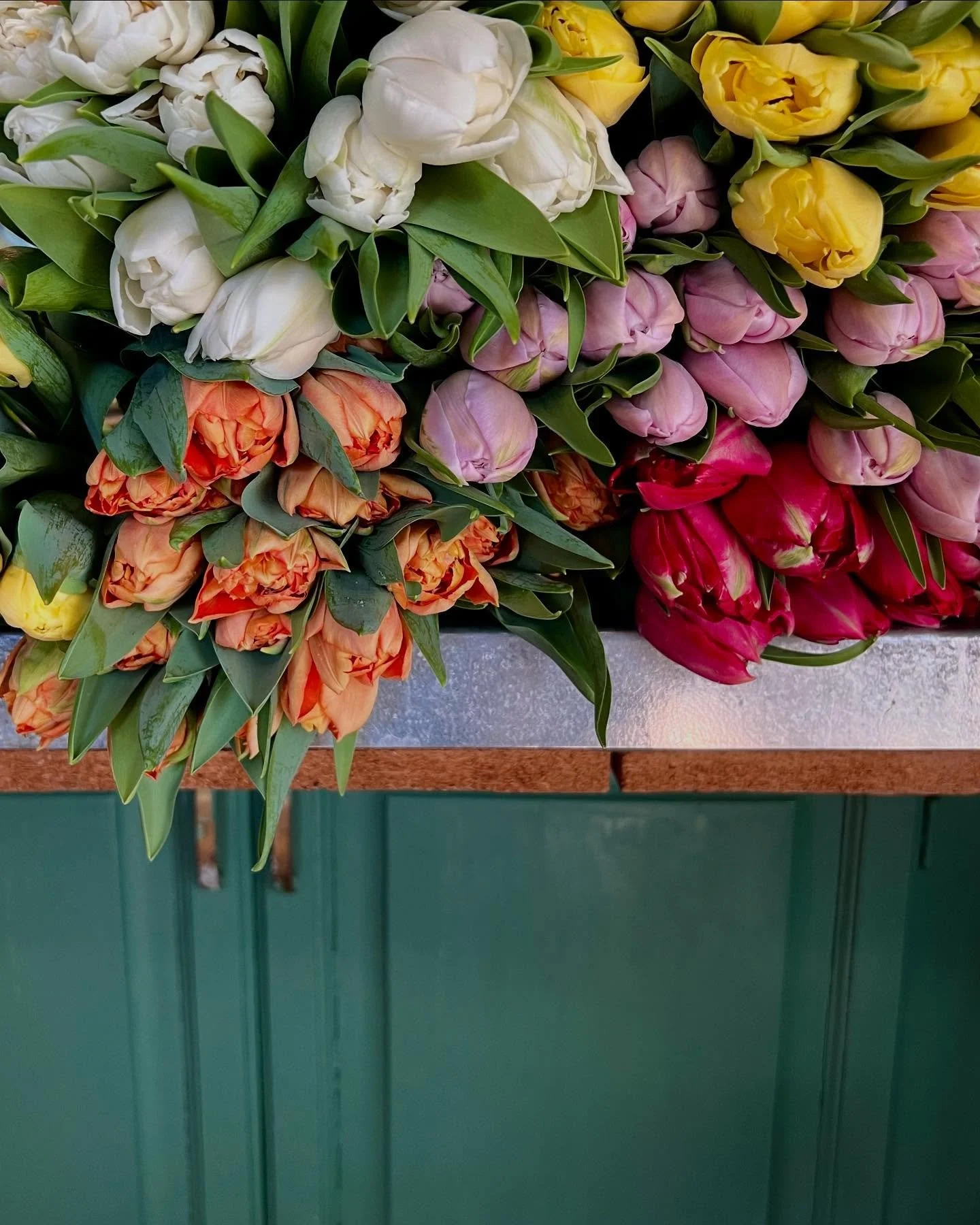 So. Many. Tulips. 💐