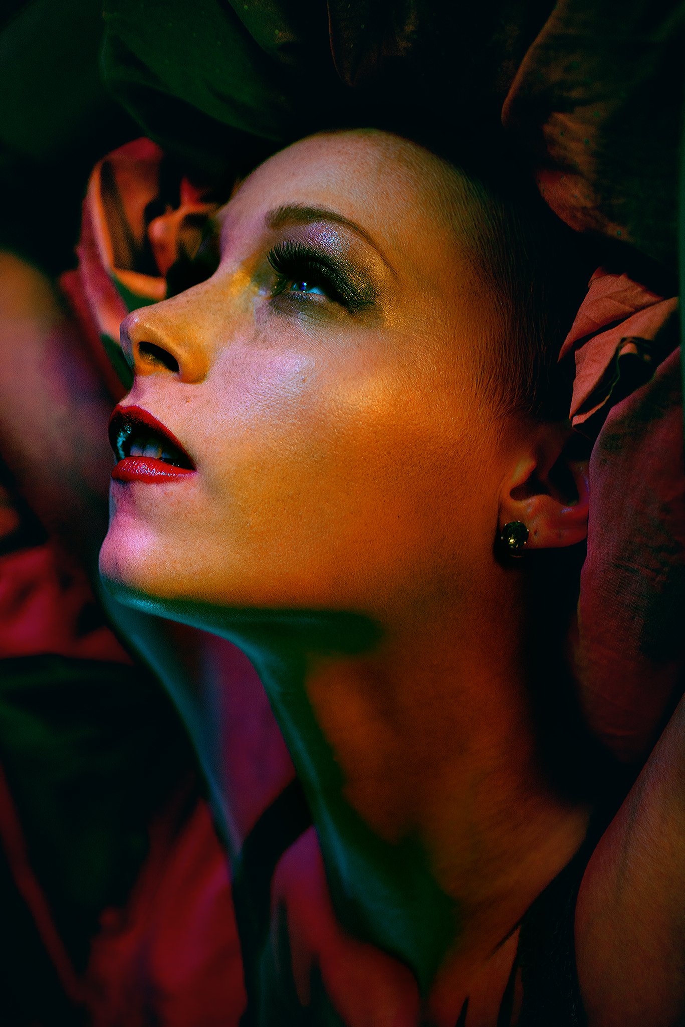 GIN_5101-Edit_website.jpg