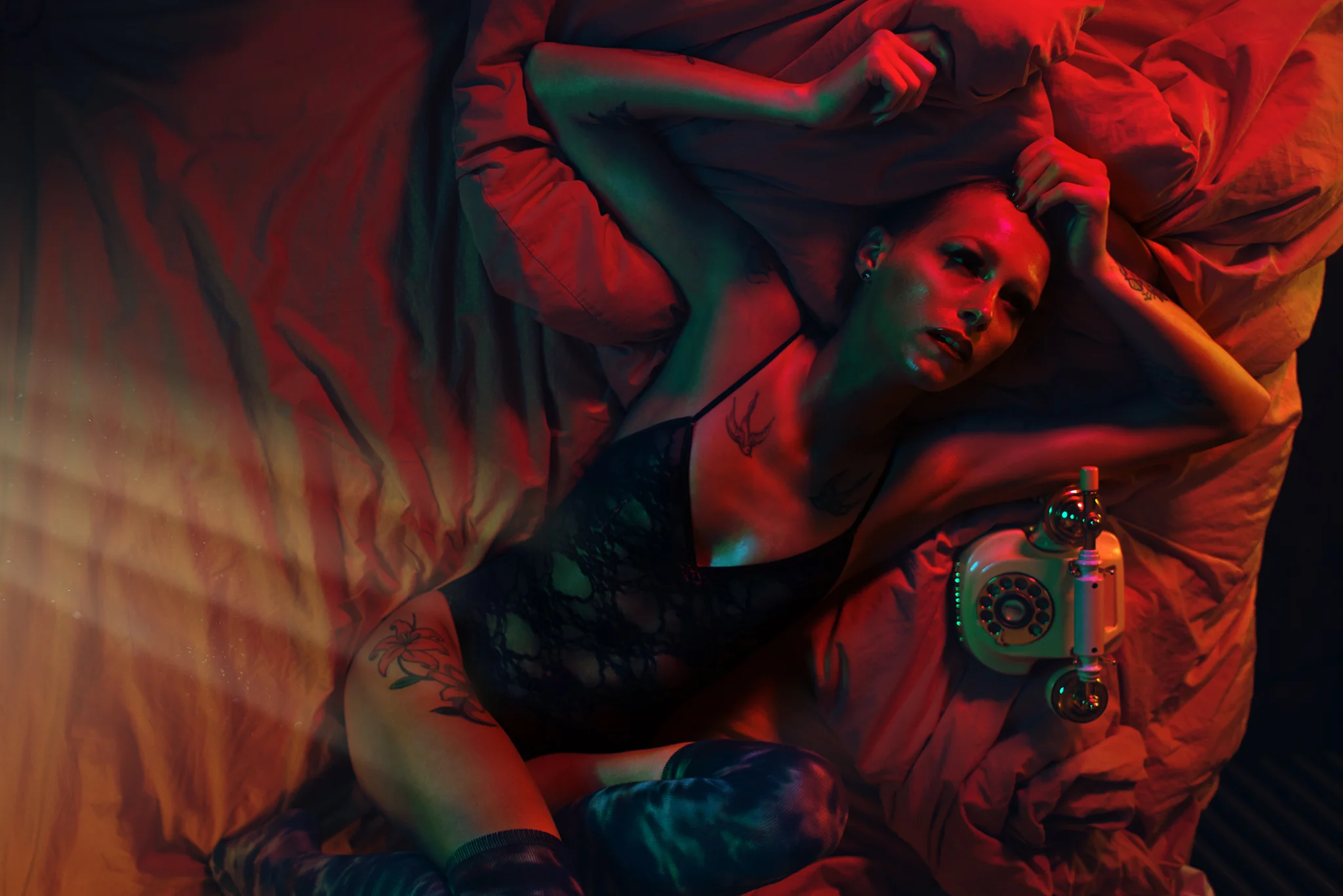 GIN_5546-Editcropped_website.jpg