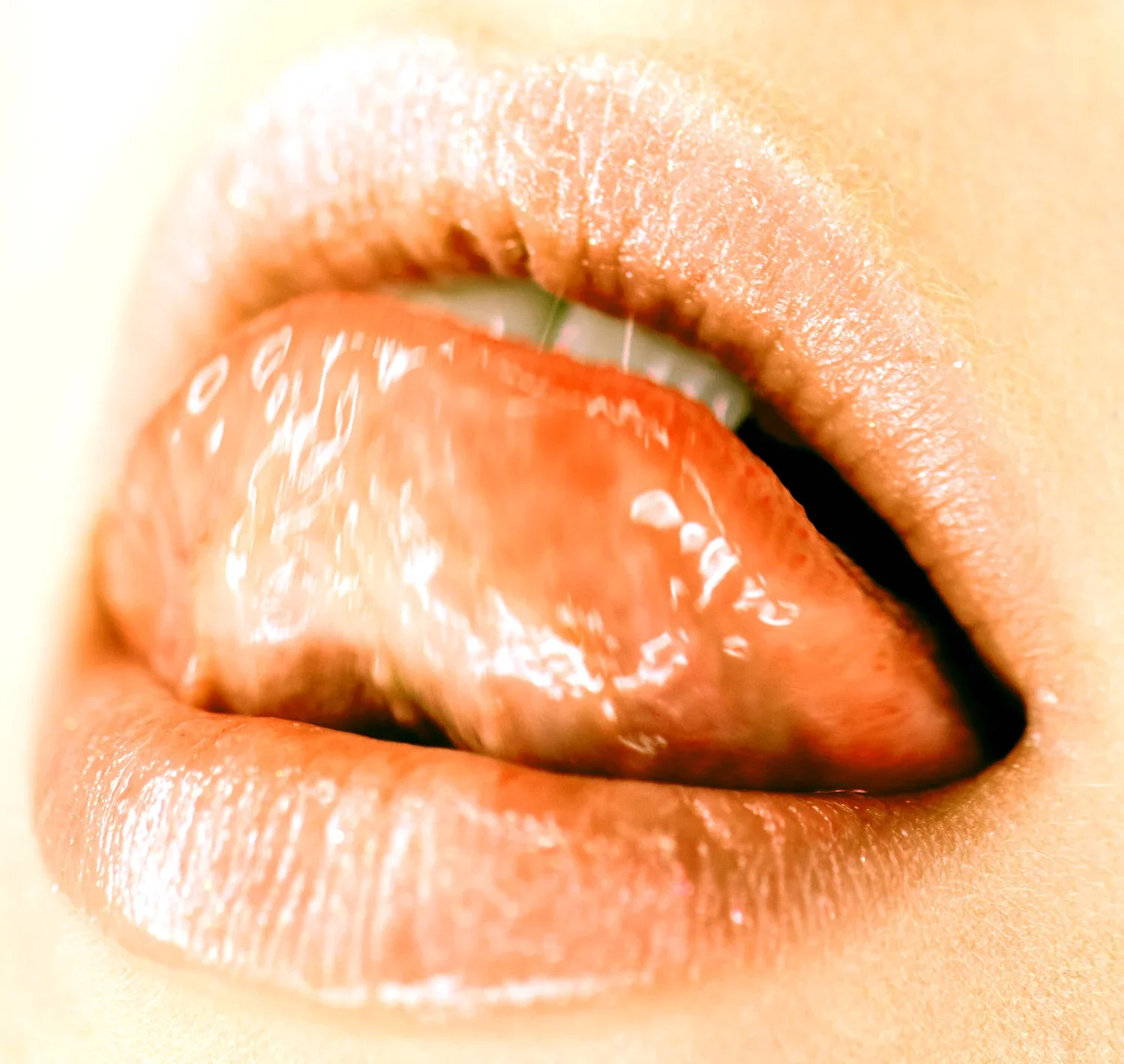 Untitled+Session00770+1.jpg.webp