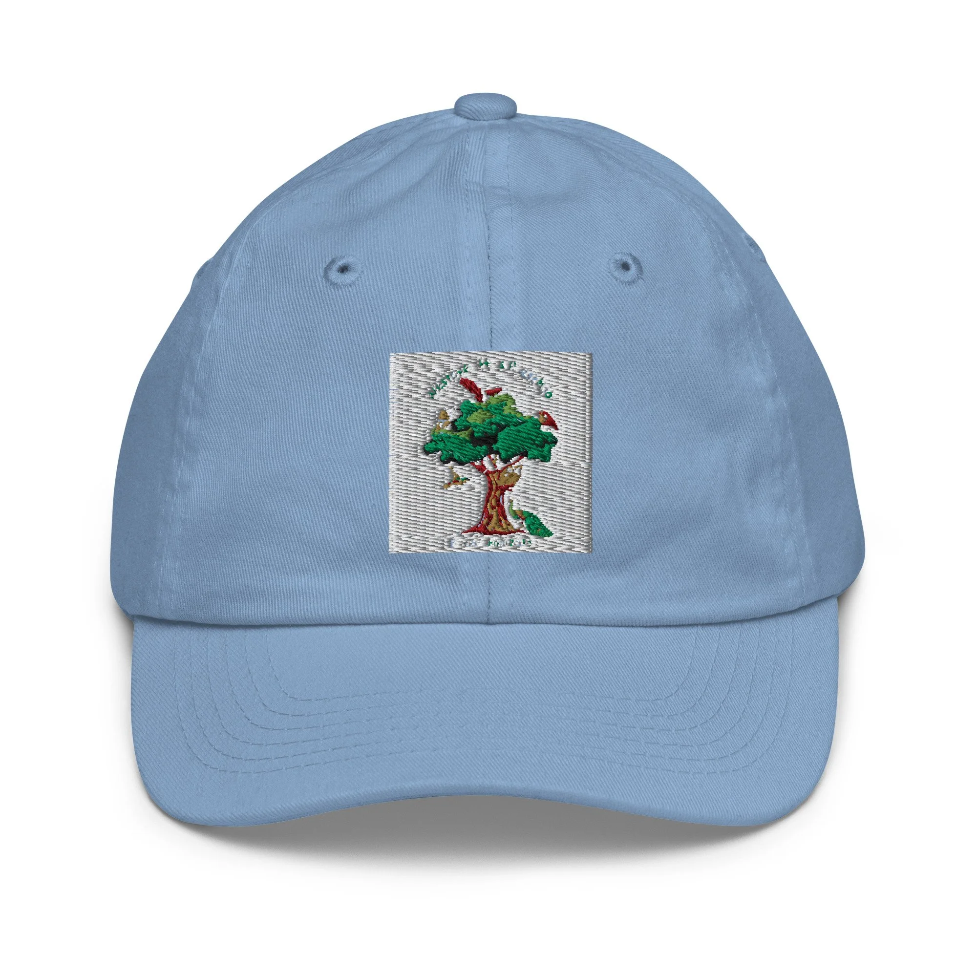 youth-baseball-cap-baby-blue-front-6ab2a68eaae91.jpg