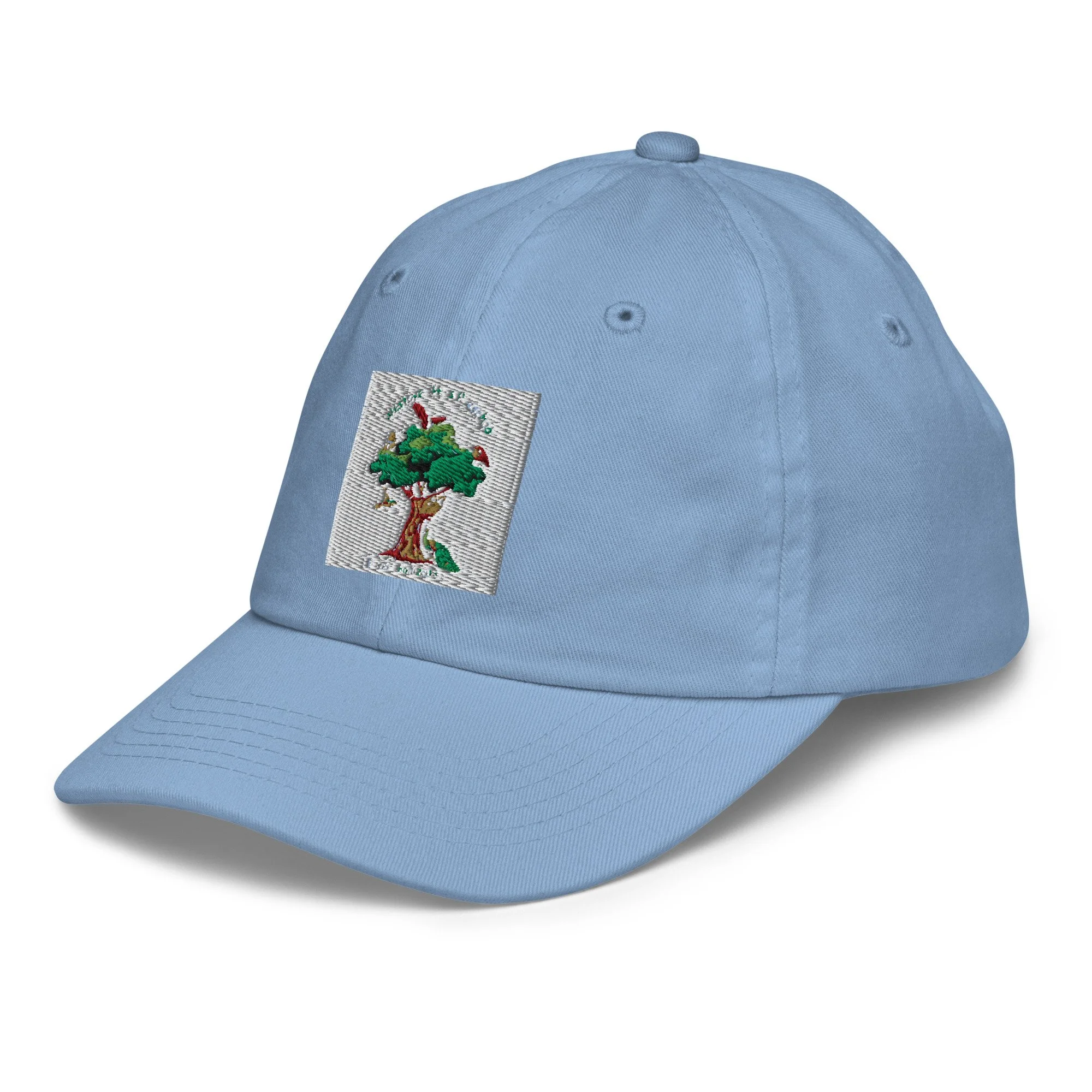 youth-baseball-cap-baby-blue-left-front-6ab2a68eacee9.jpg