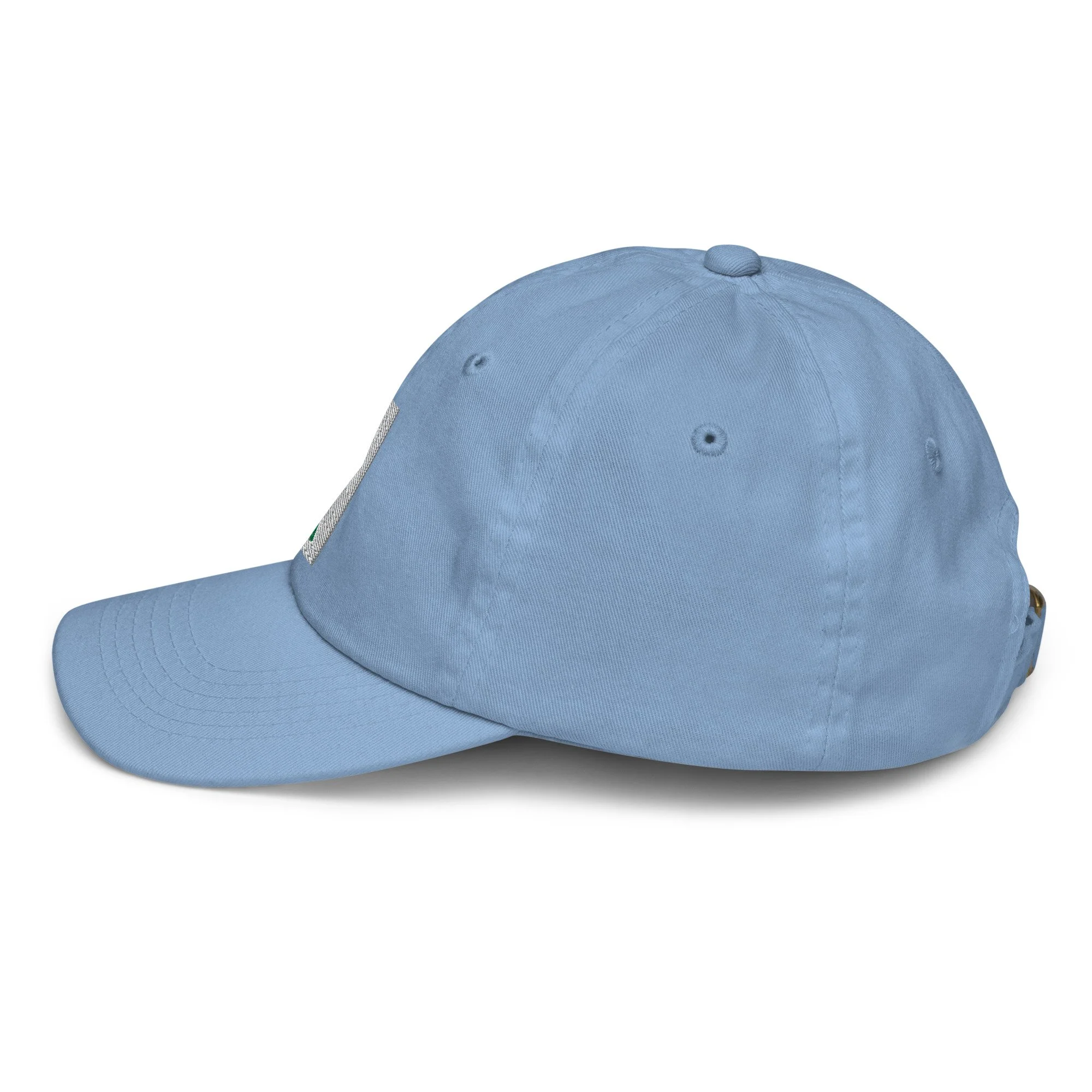 youth-baseball-cap-baby-blue-left-side-6ab2a68ead8ab.jpg
