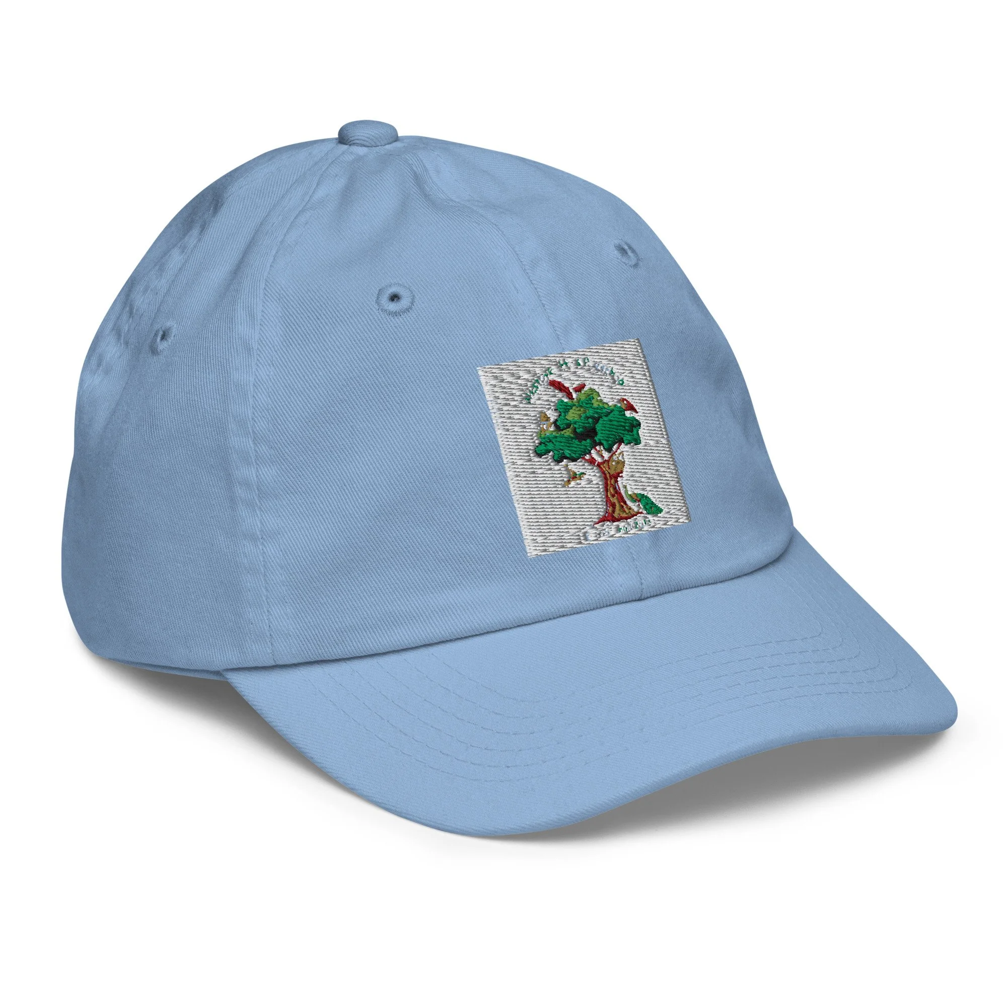 youth-baseball-cap-baby-blue-right-front-6ab2a68eae215.jpg