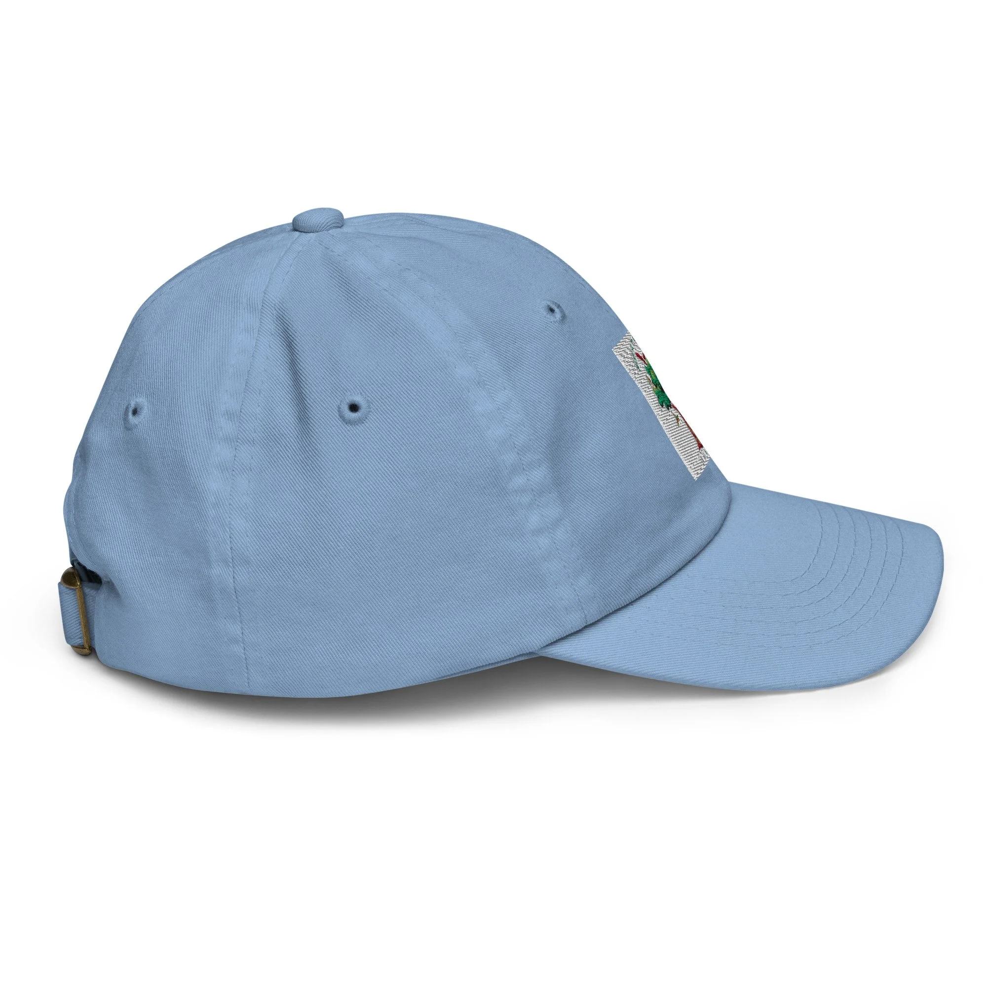 youth-baseball-cap-baby-blue-right-side-6ab2a68eaeb74.jpg