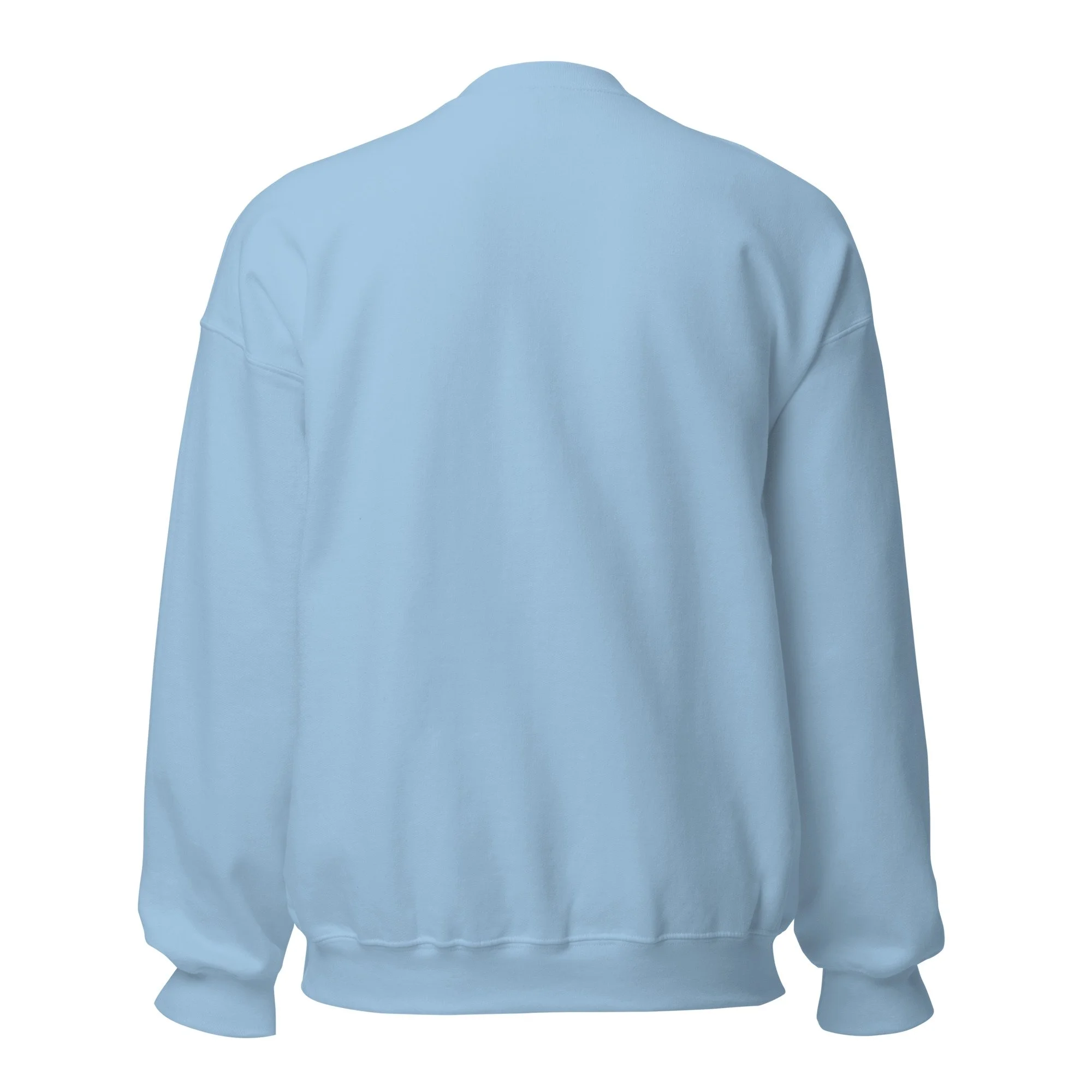 unisex-crew-neck-sweatshirt-light-blue-back-6ac7da815bdeb.jpg