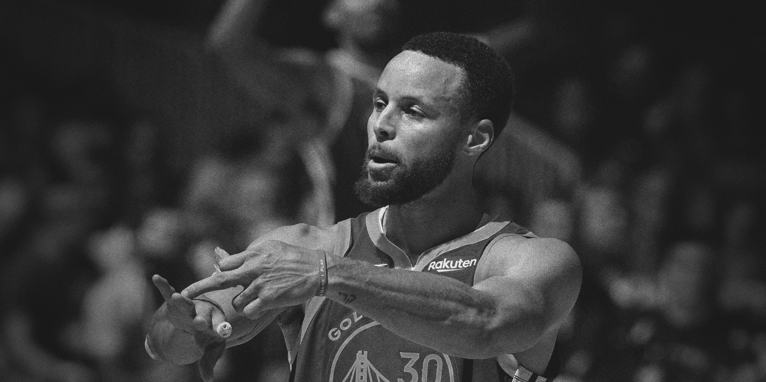 steph2.png