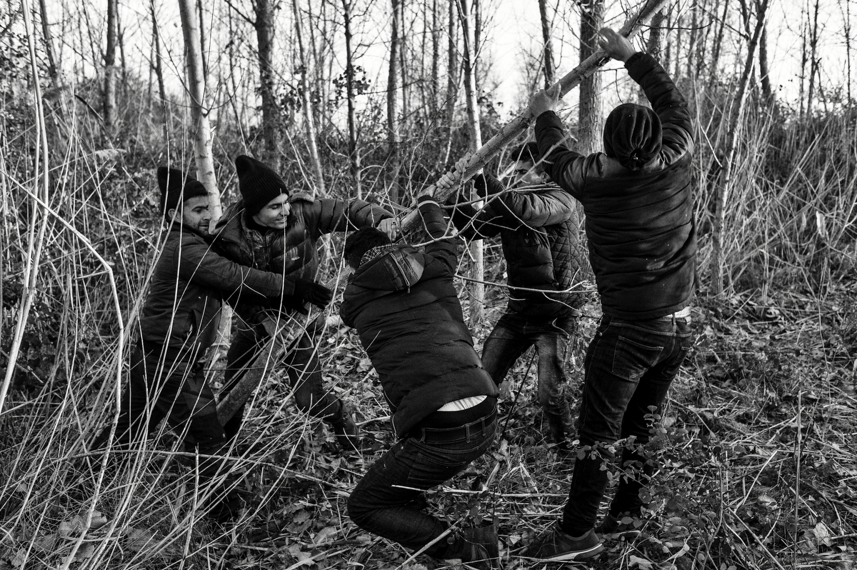  A group of Iraqi men are cutting down a tree to use the wood for making a bonfire. Overwhelmed by the high numbers of people arriving to Greece, authorities can not give proper answer to all the refugee needs. Polykastro, Greece, January 2016. 