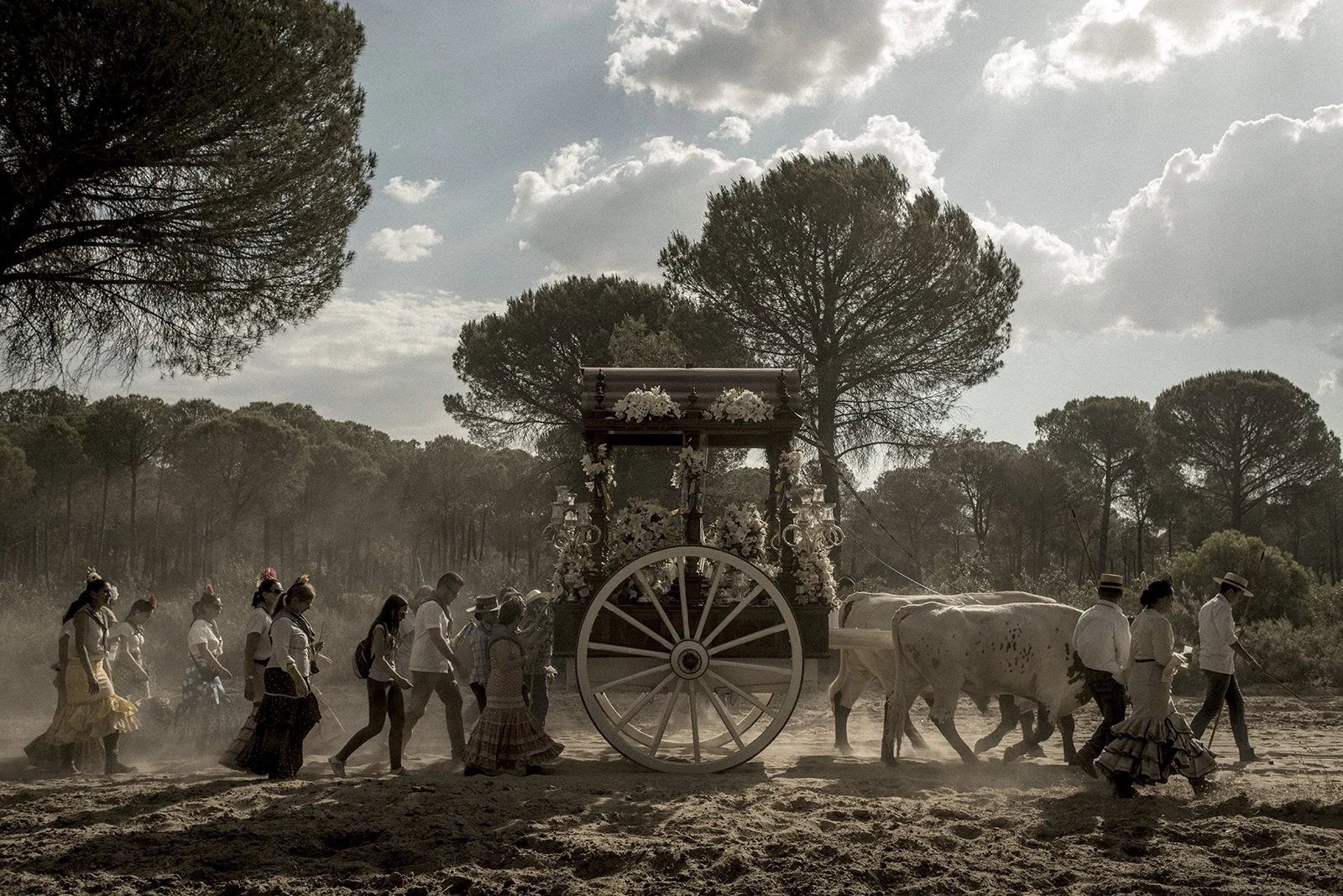 During the procession to El Rocío town, each brotherhood carries its own Simpecado, a wagon with a representation of the Virgin Mary. In 2016 there was 117 brotherhoods reaching the town. Huelva's brotherhood is considered the biggest one with approximately 14000 pilgrims. Hinojos, Spain, May 2015.