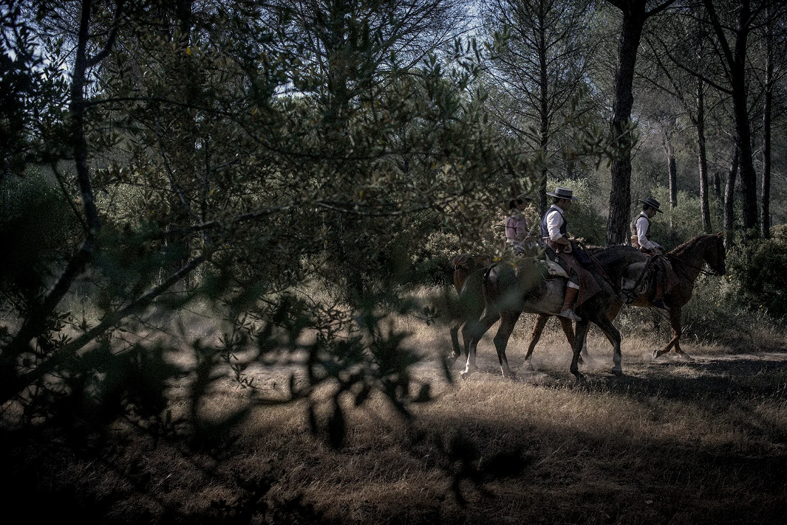 Most of the journey close to El Rocío takes place inside a National Park or protected areas. Only few cars are allowed by each brotherhood. Horse riding is a common way to reach the town. Pilas, Spain, May 2015.