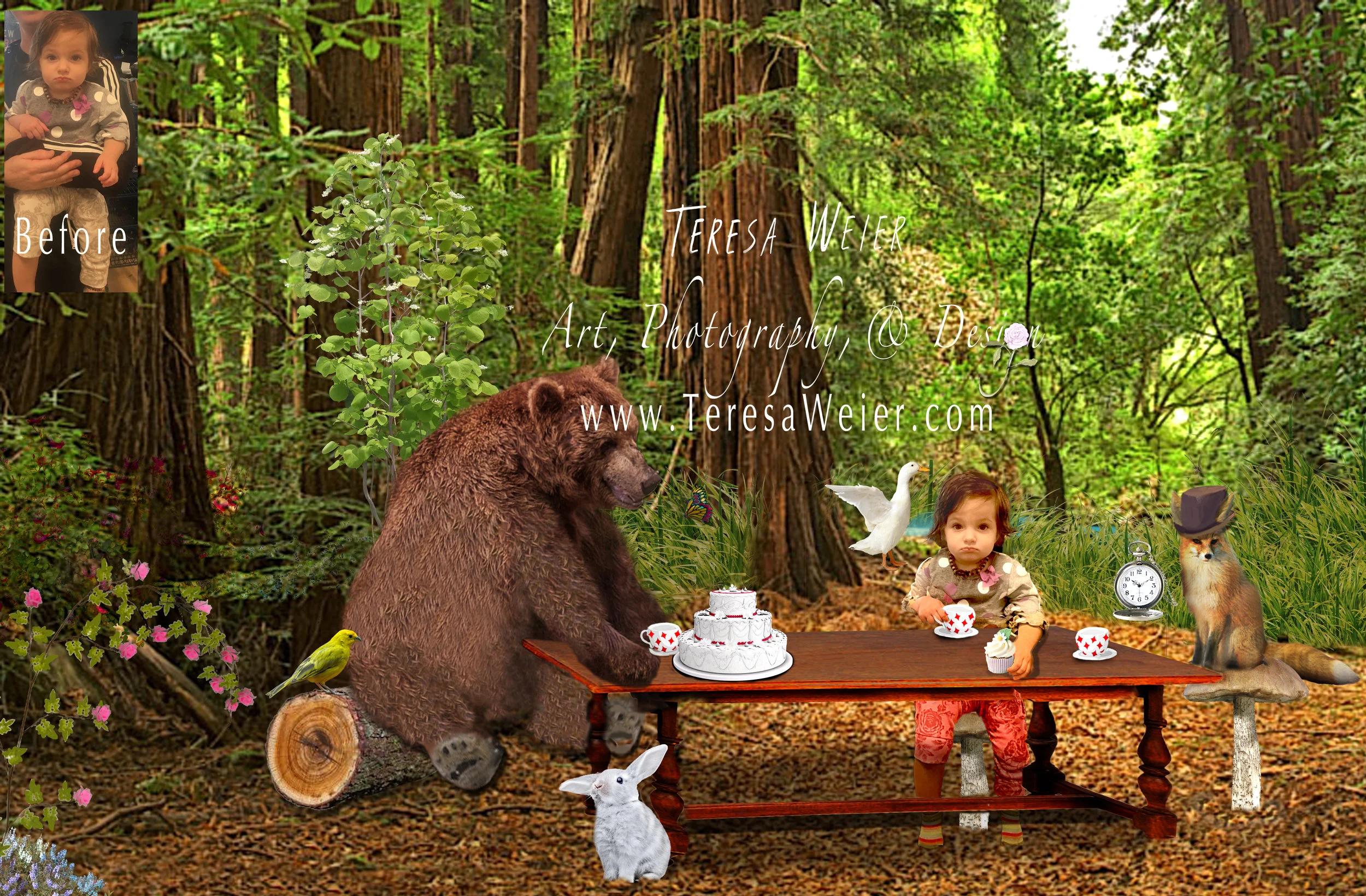 picnic with Alice._forest_B&A.jpg