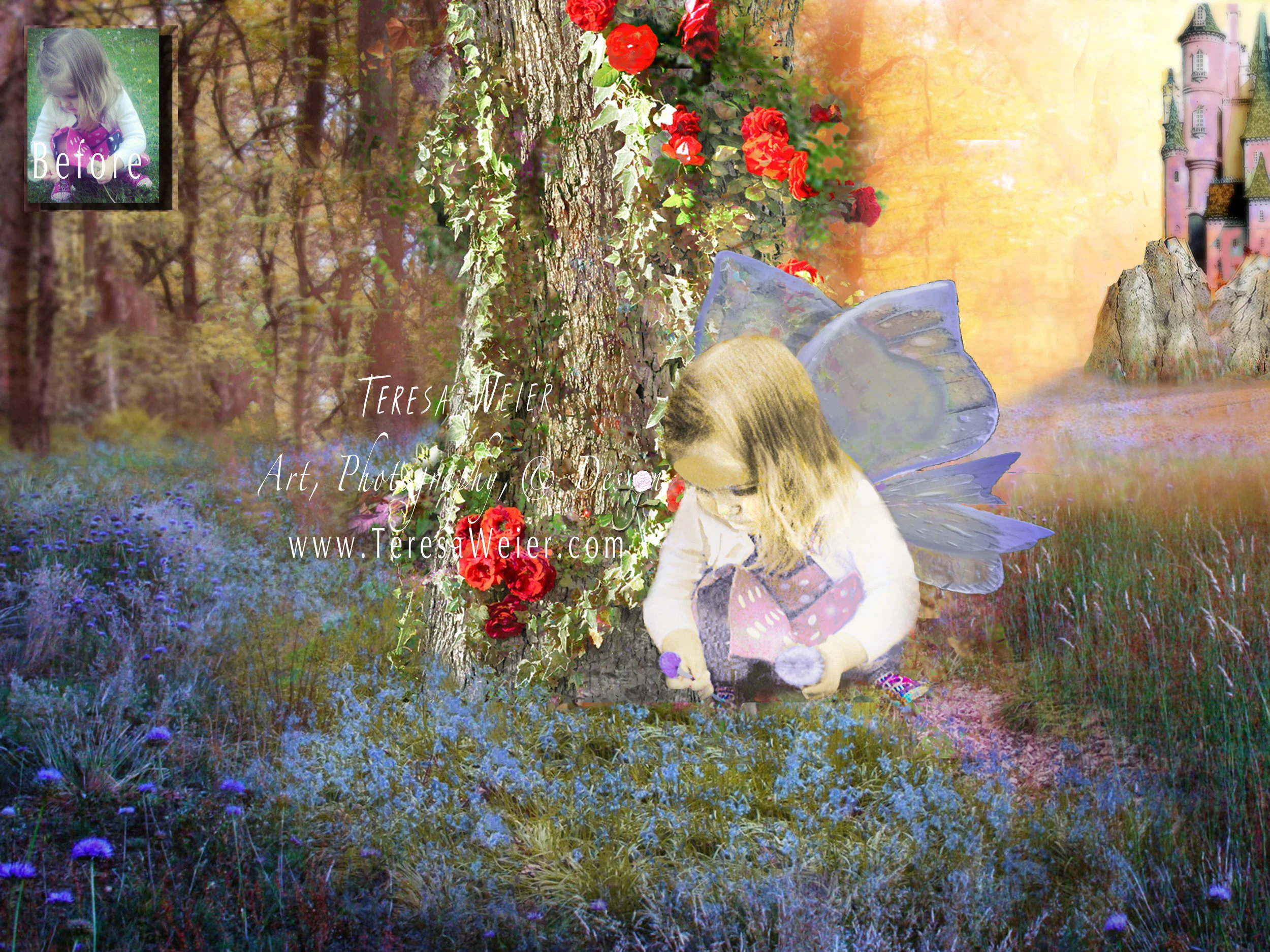 enchanted fairy background_B&A.jpg