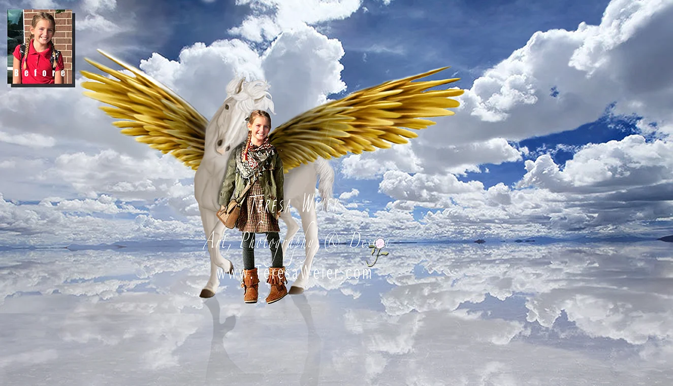 pegasus_B&A.jpg