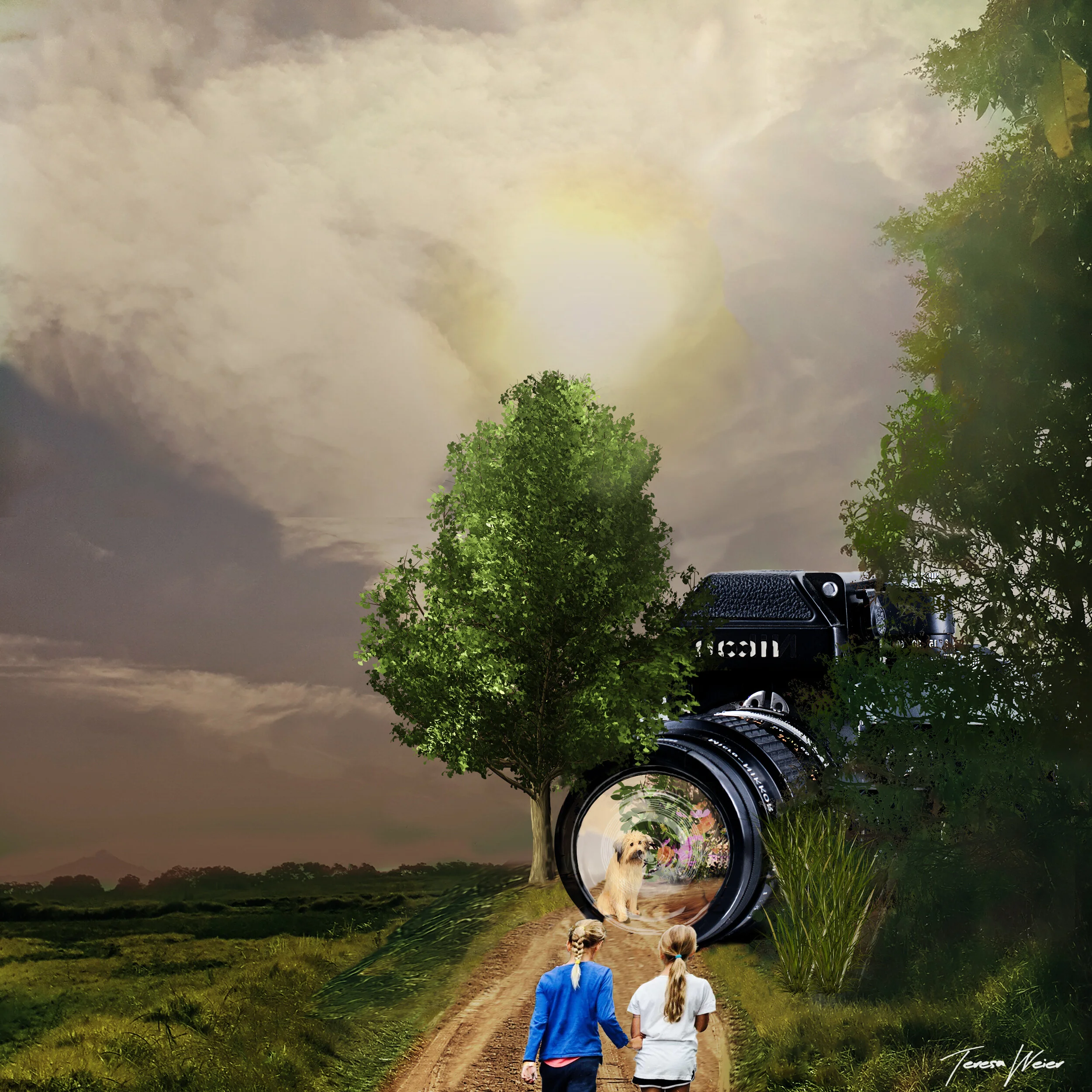 Capture the Moments