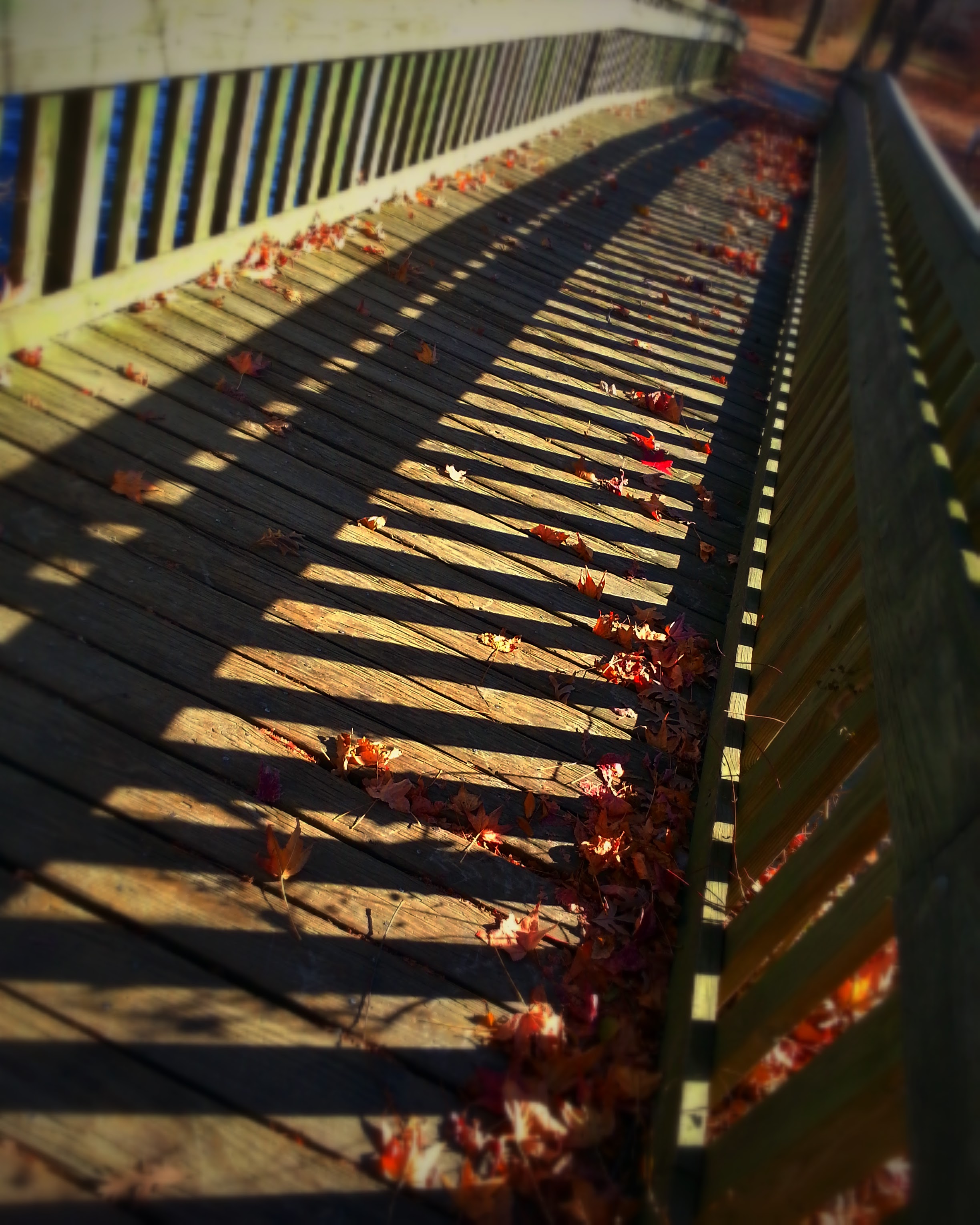 20141118_121001.jpg