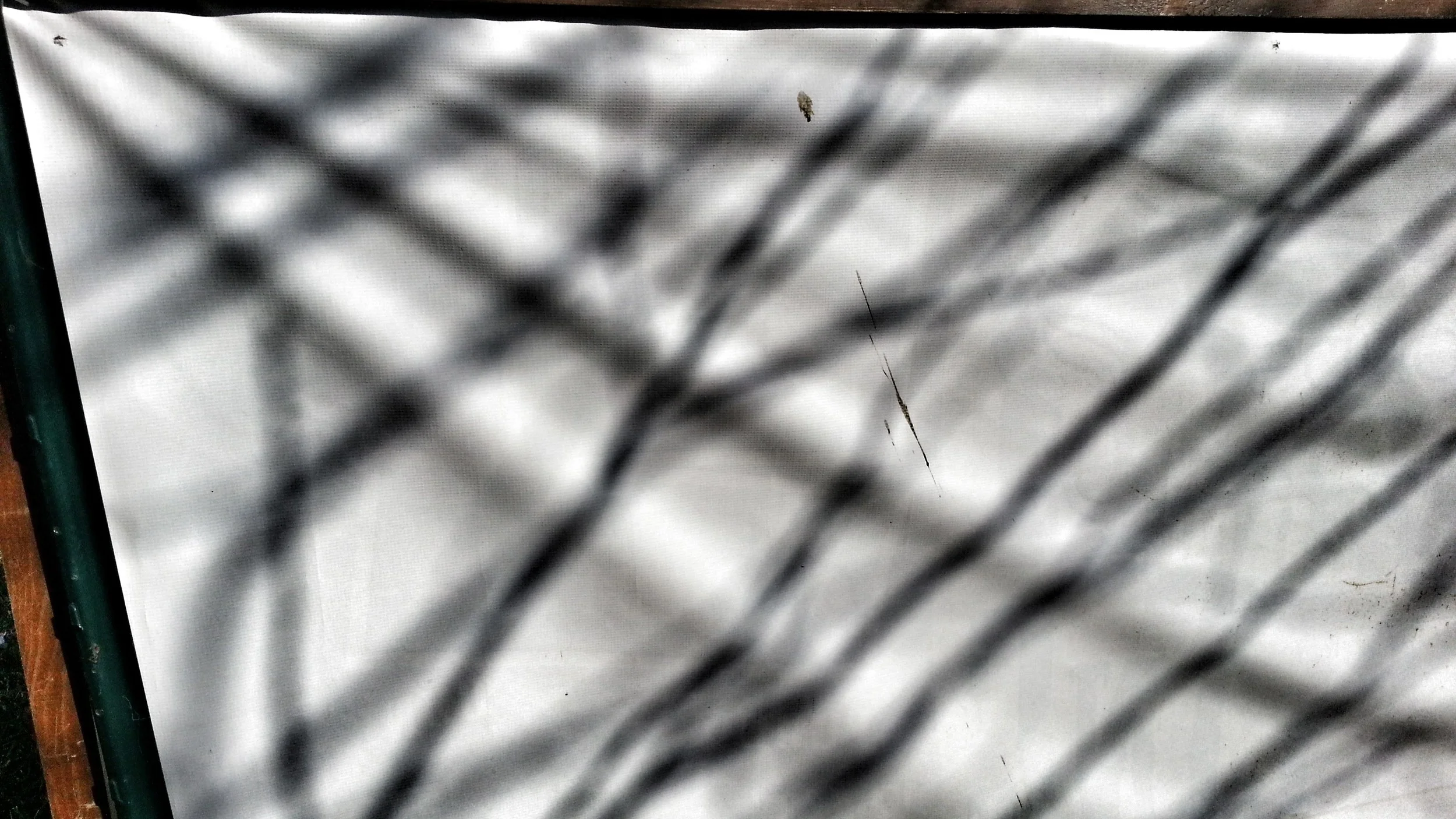 20141120_130515.jpg