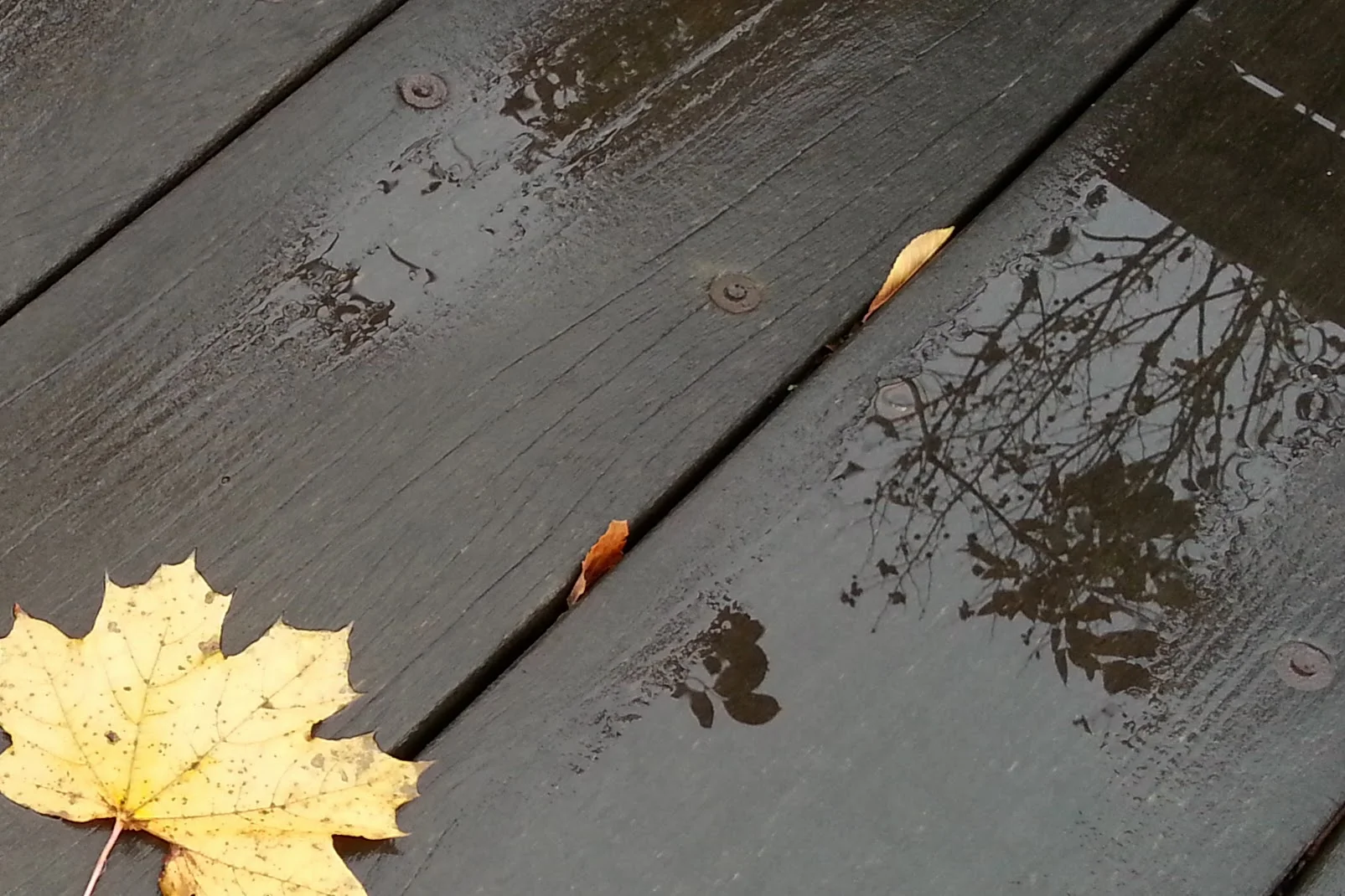 20141106_134223.jpg