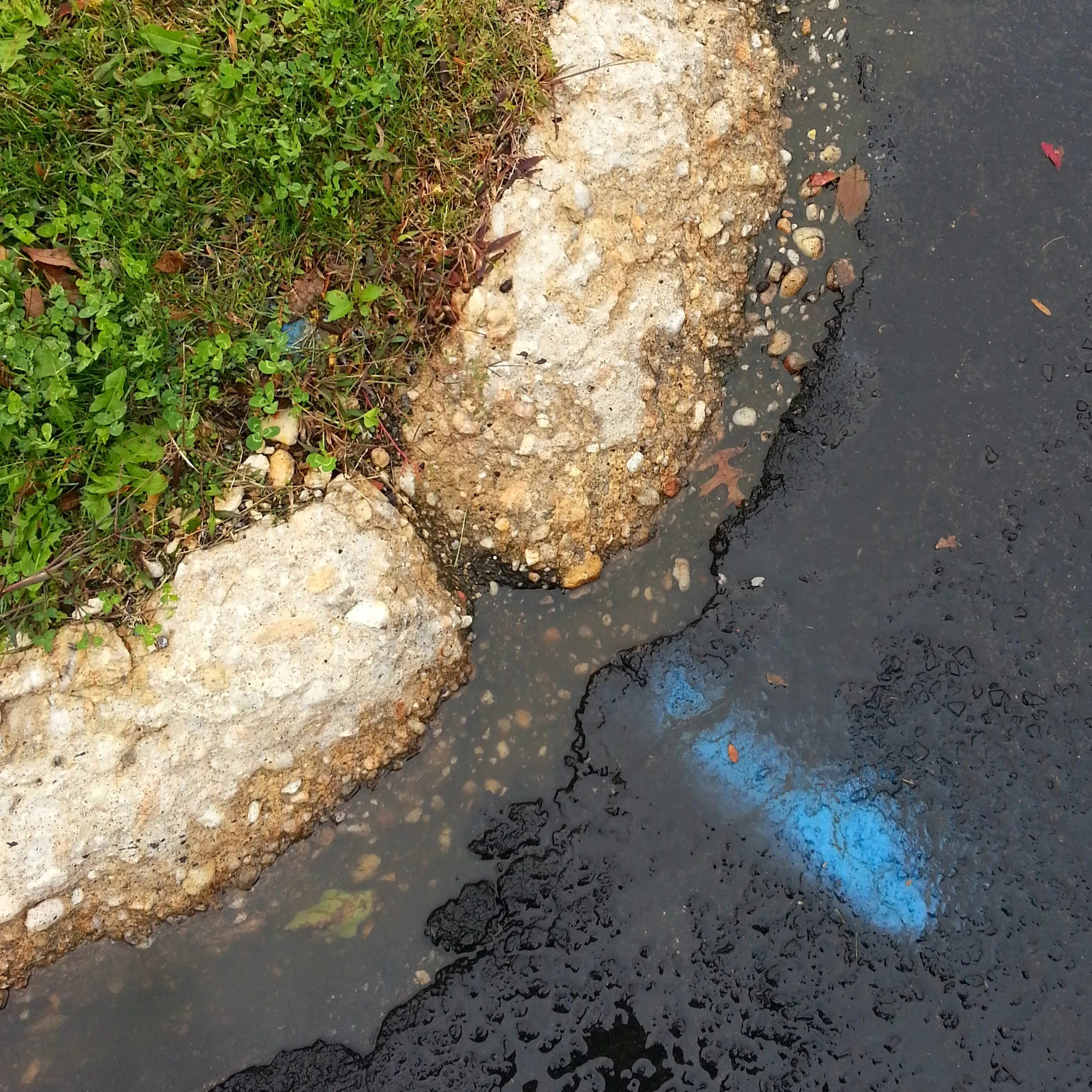 20141023_115242.jpg