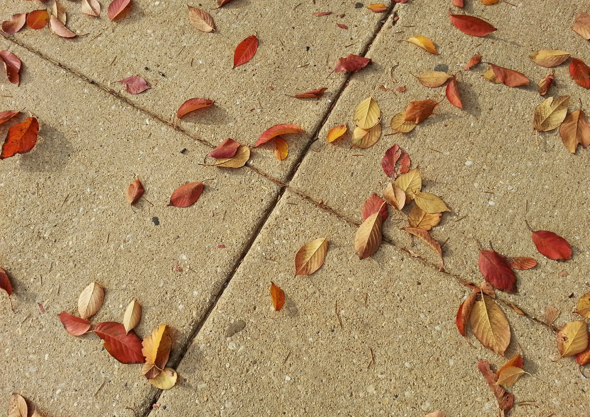 20141029_094148.jpg