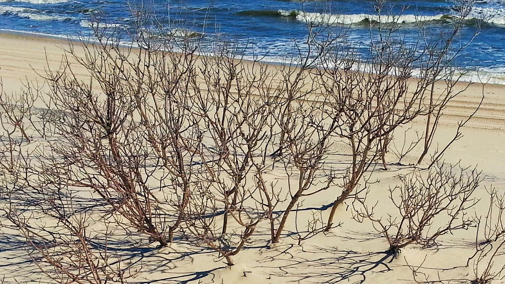 20141008_141832.jpg