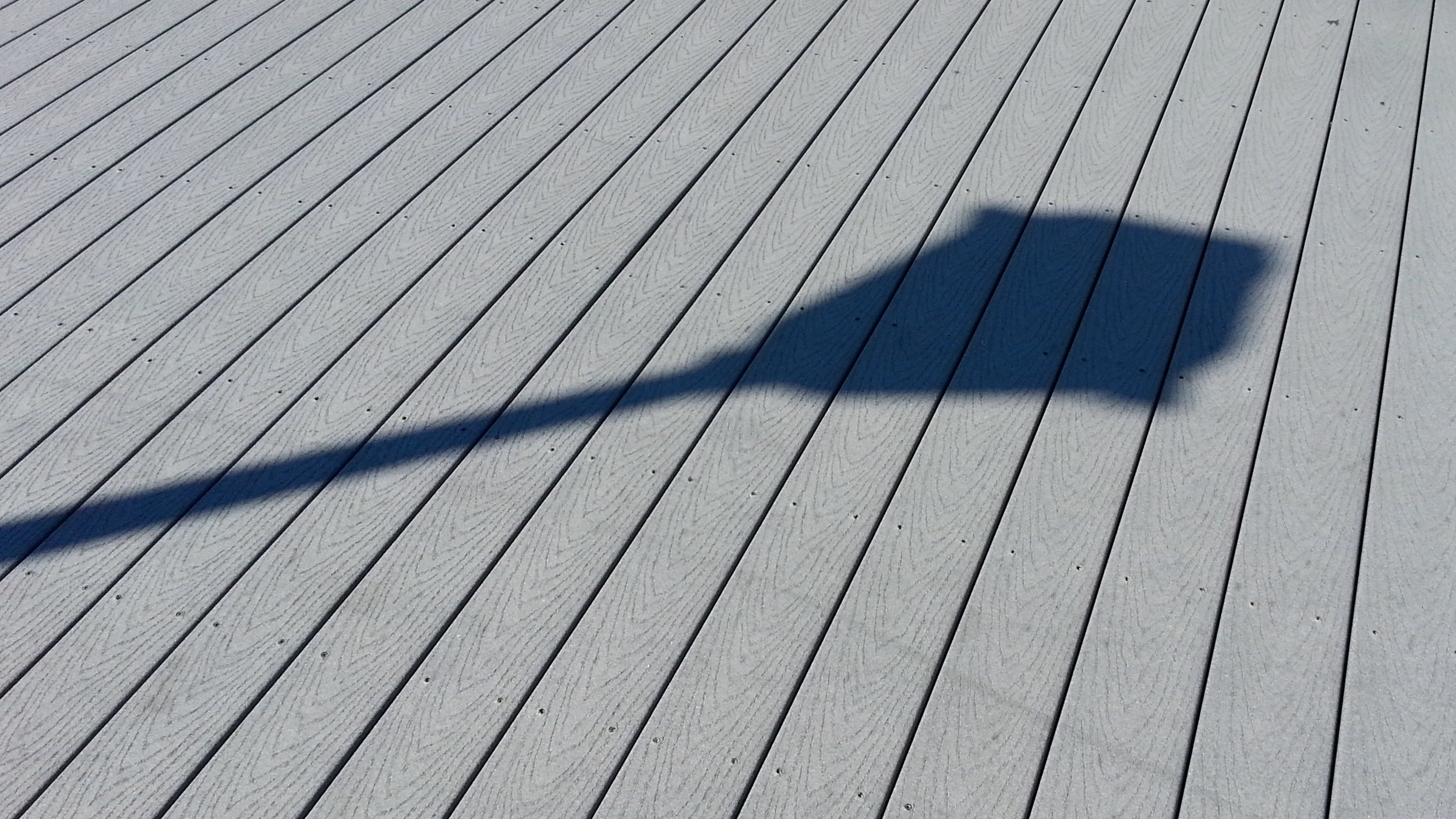 20141008_121252.jpg