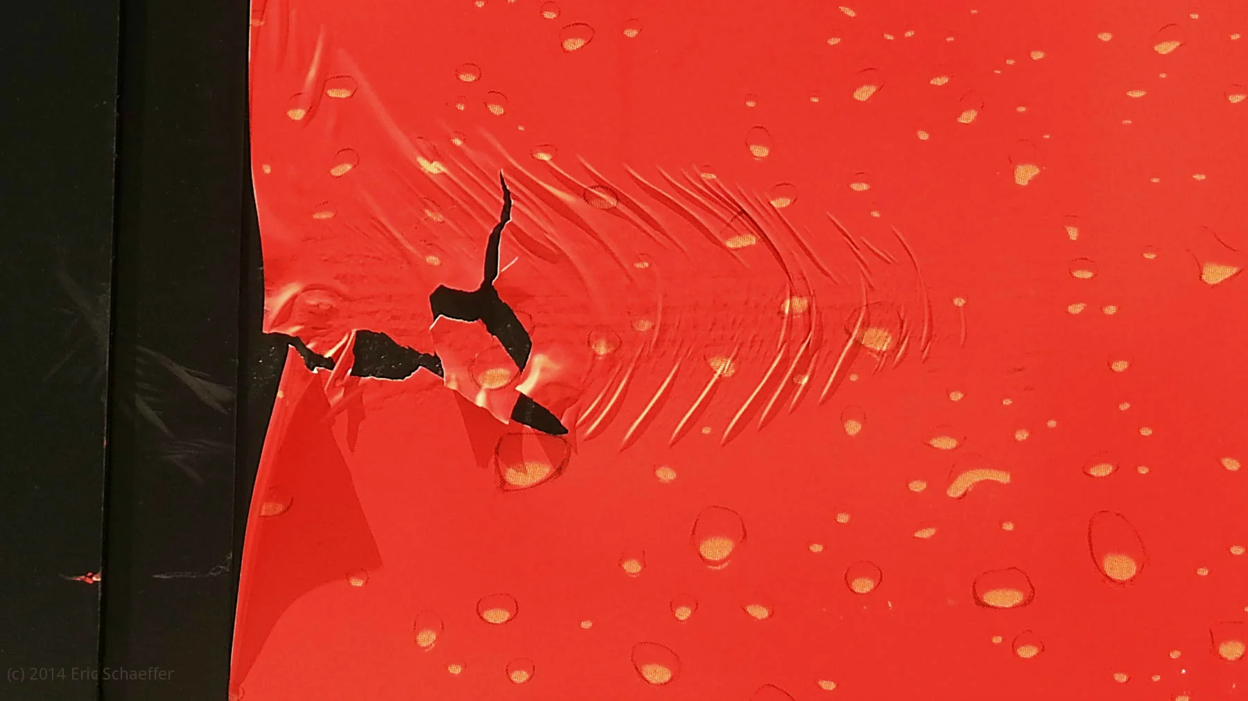 scrape.jpg