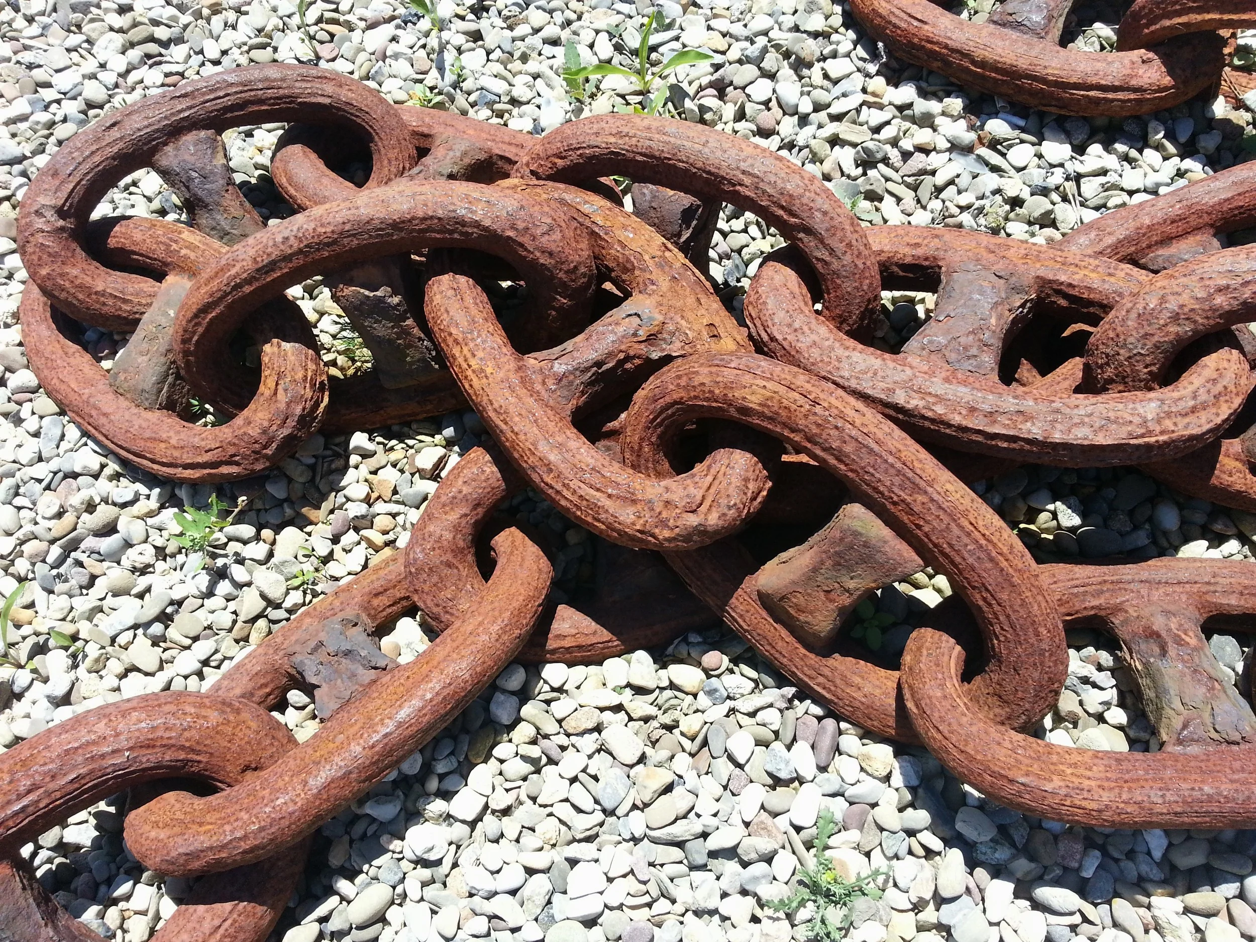 20140607_115311.jpg