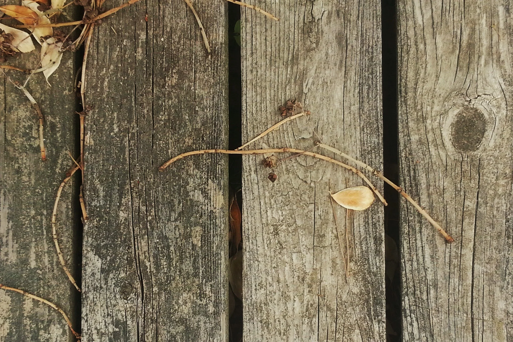 20140609_110425.jpg
