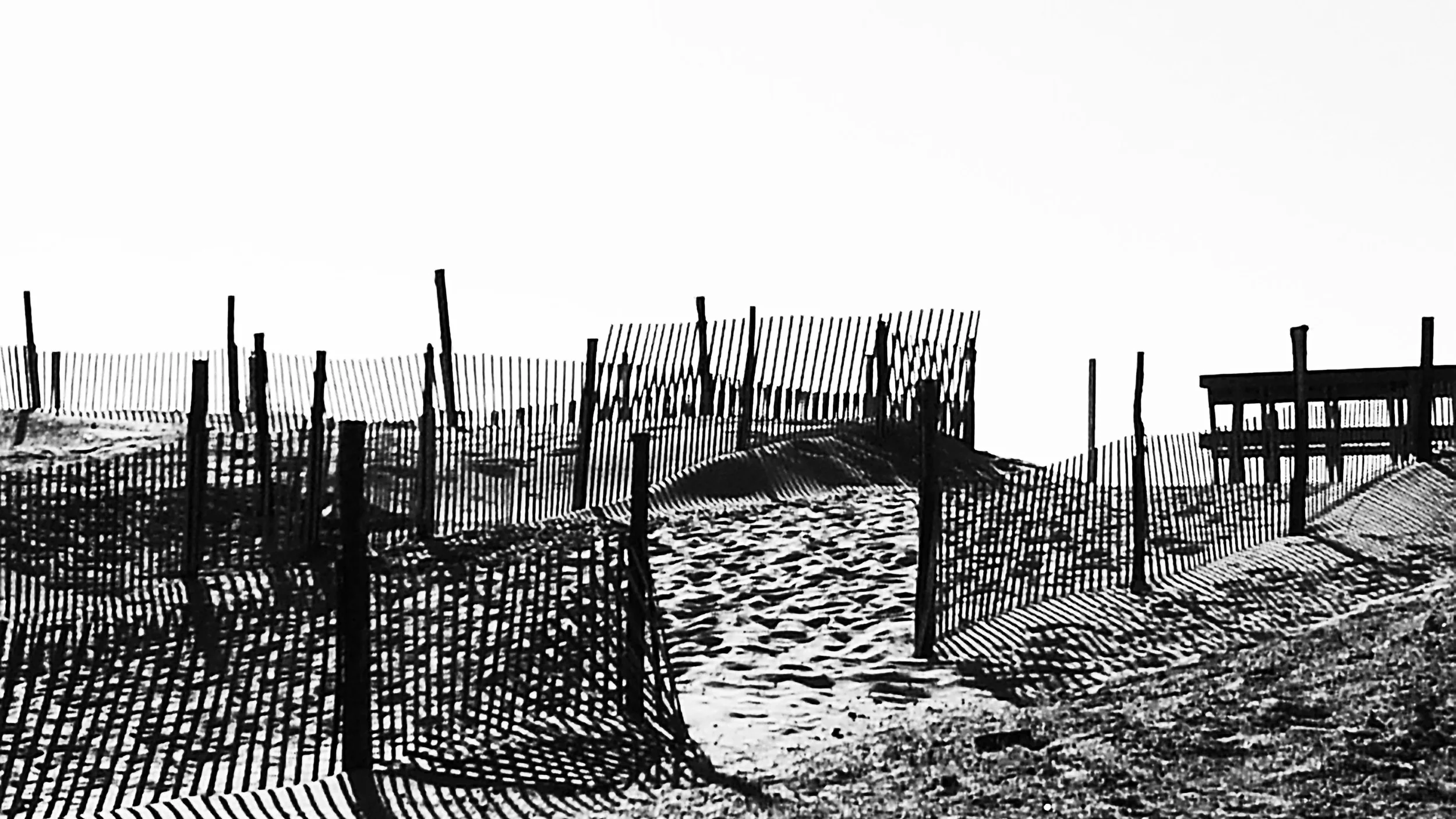20140602_074403.jpg