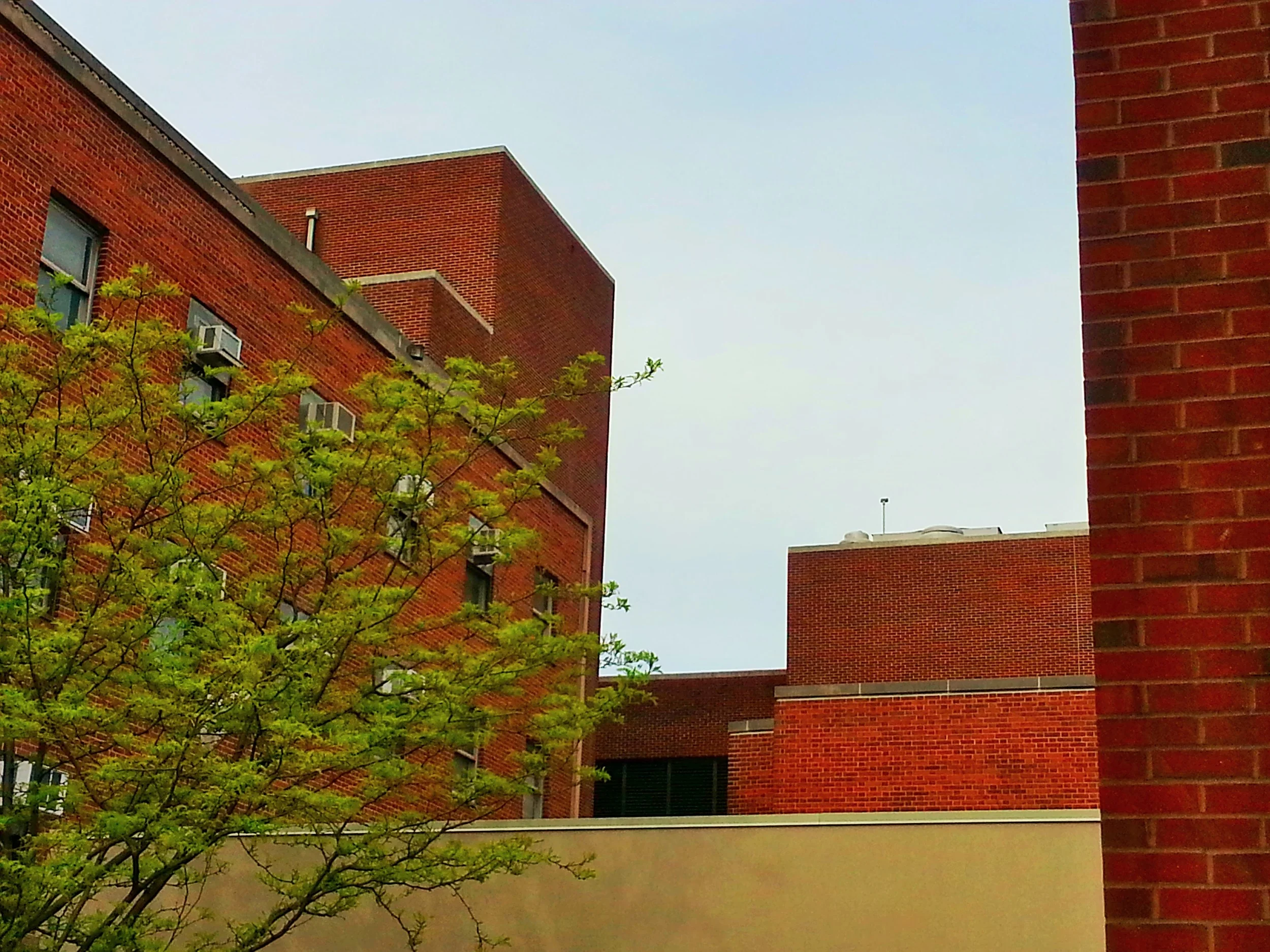 20140505_162727.jpg