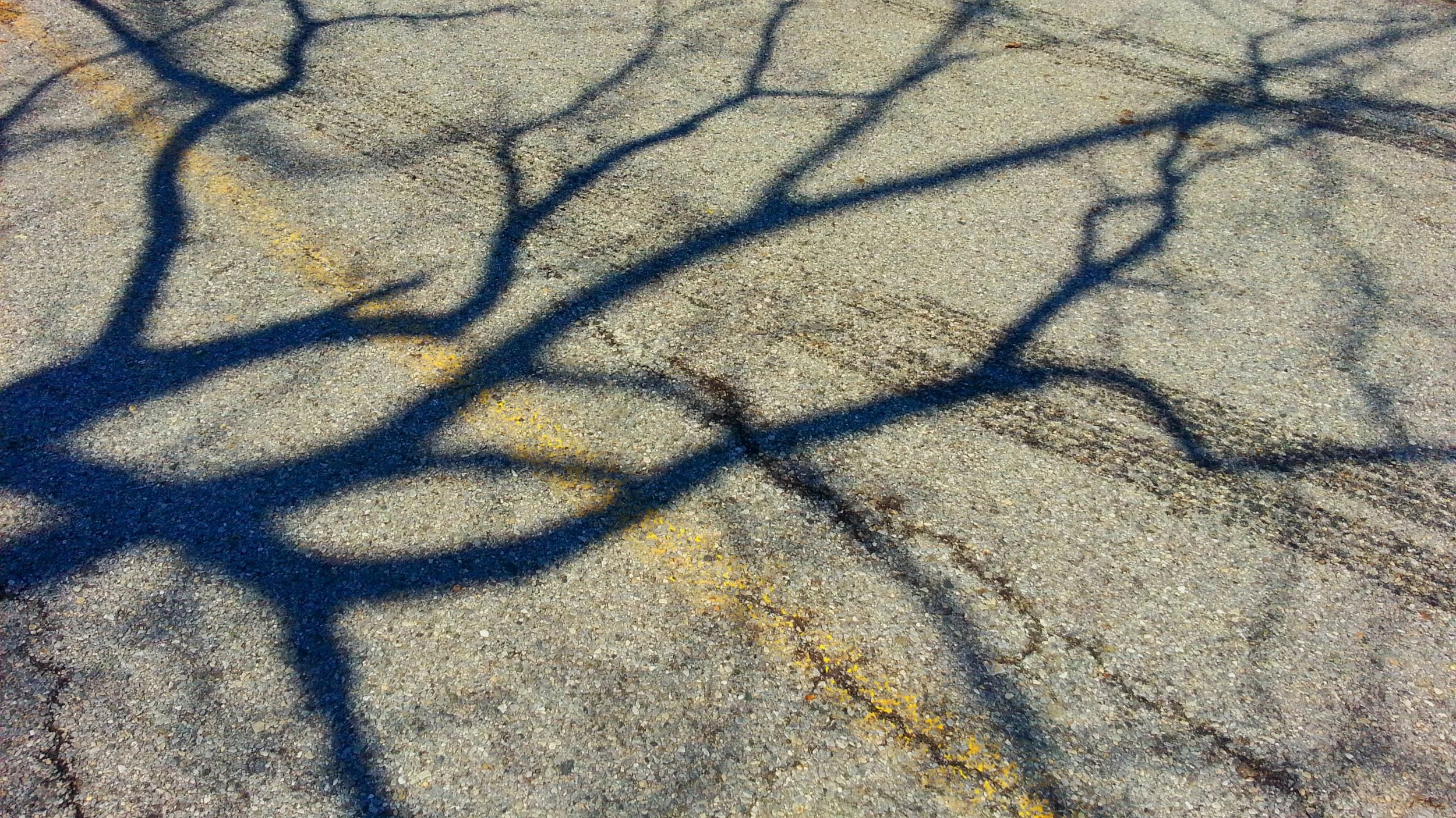 20140501_131805.jpg
