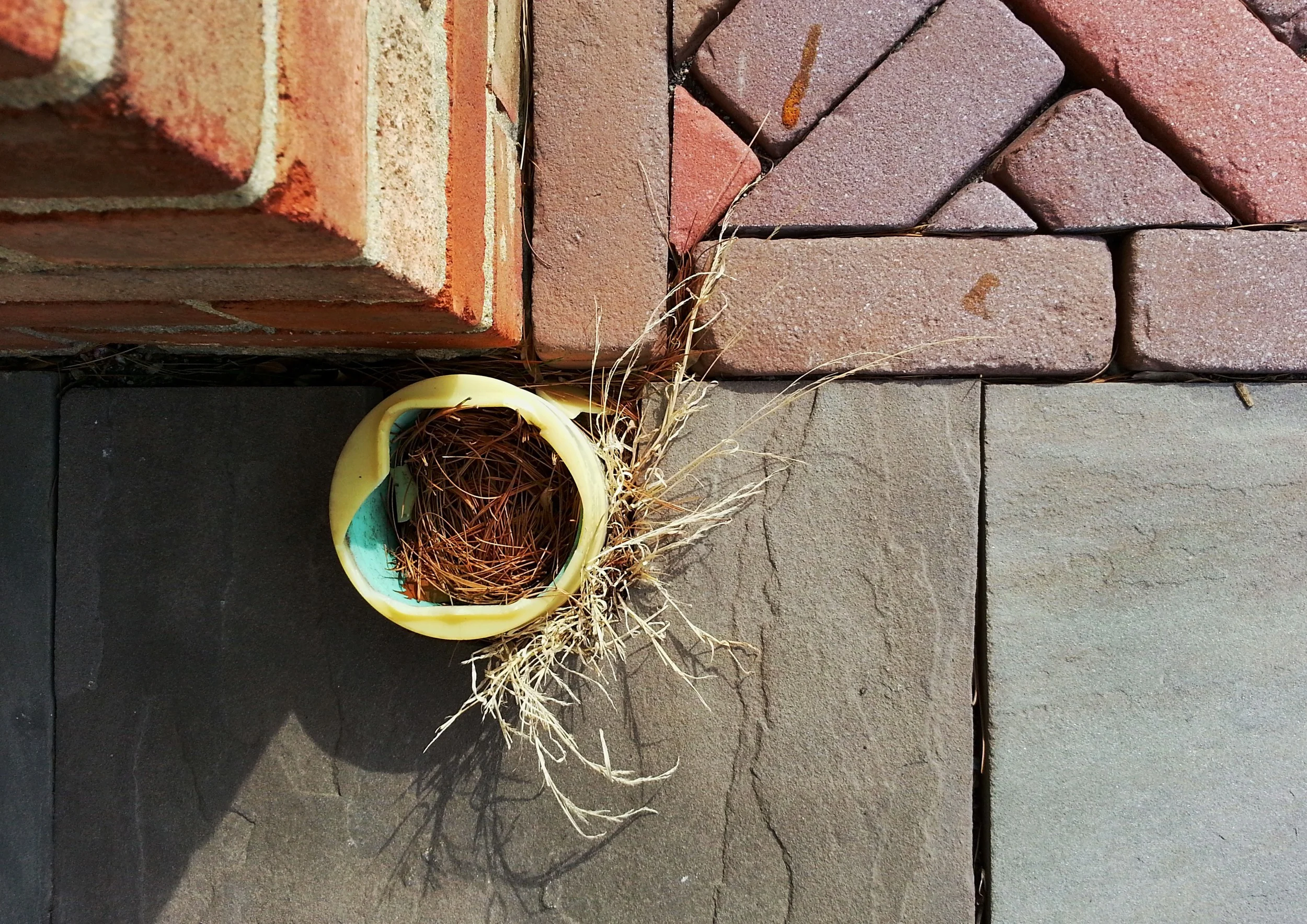 20140403_095639.jpg