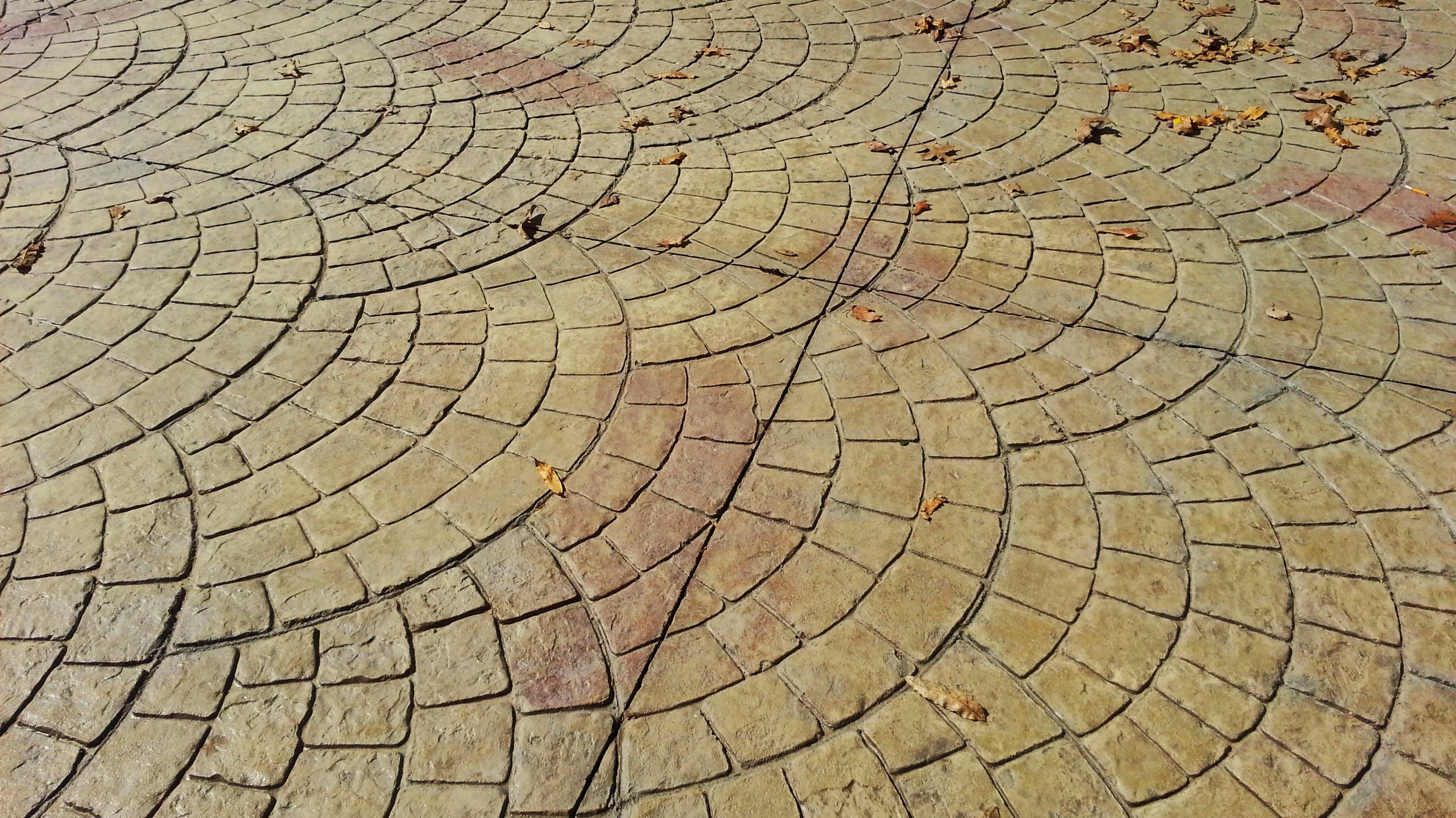 20140313_123434.jpg