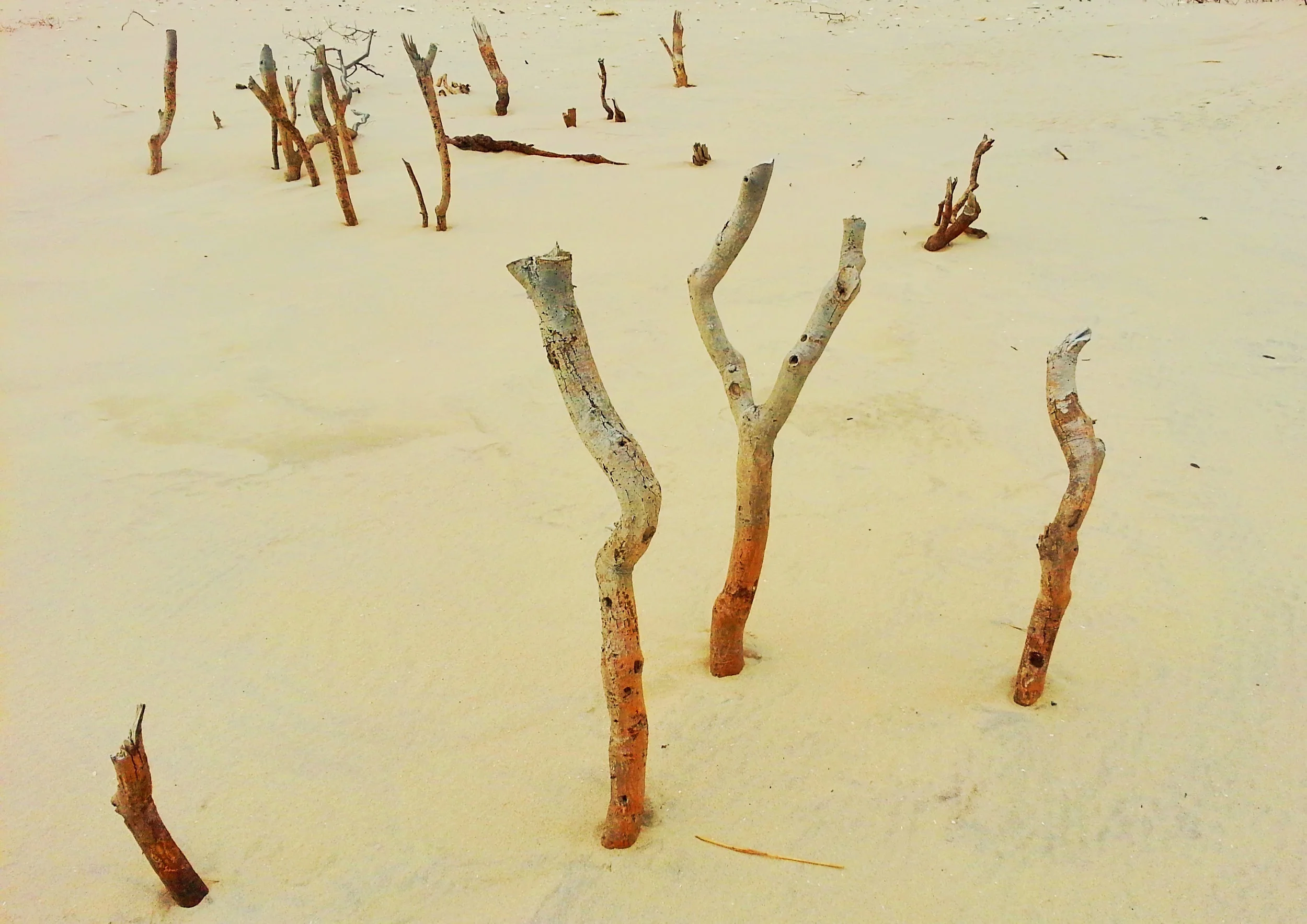 20140310_155444.jpg