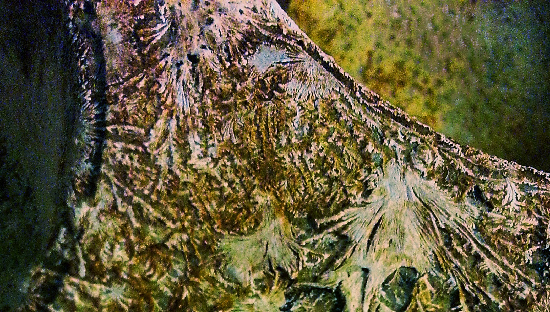 20140210_192754.jpg
