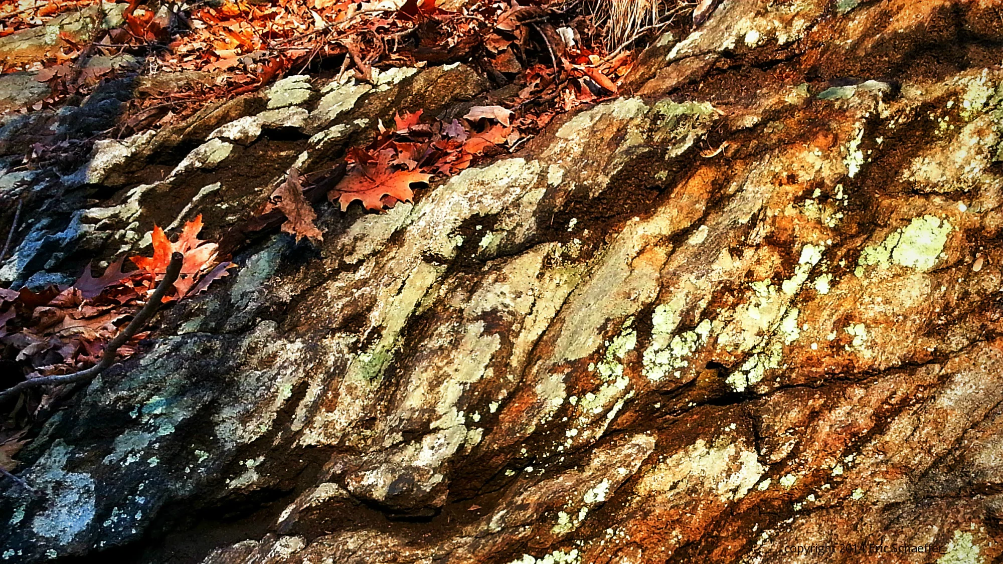 rockface.jpg
