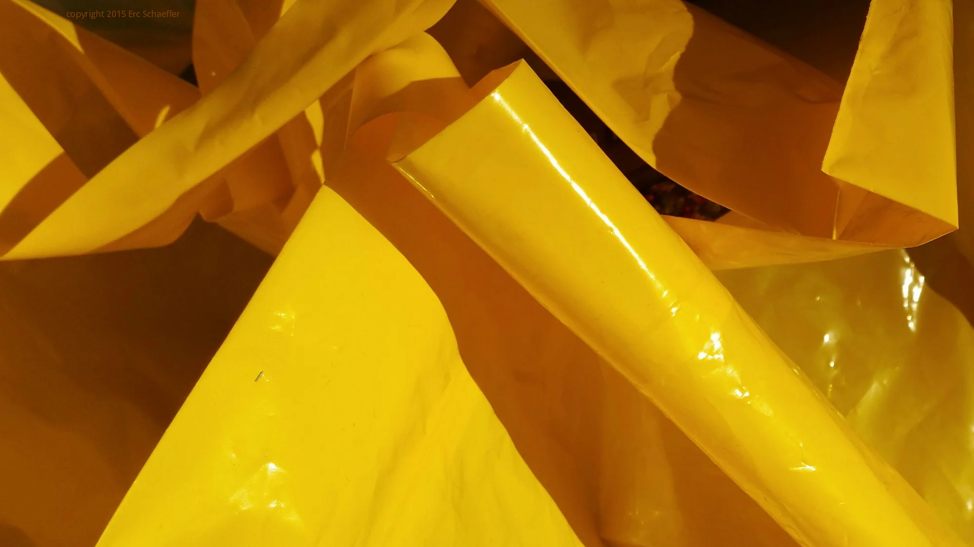 yellowbag.jpg