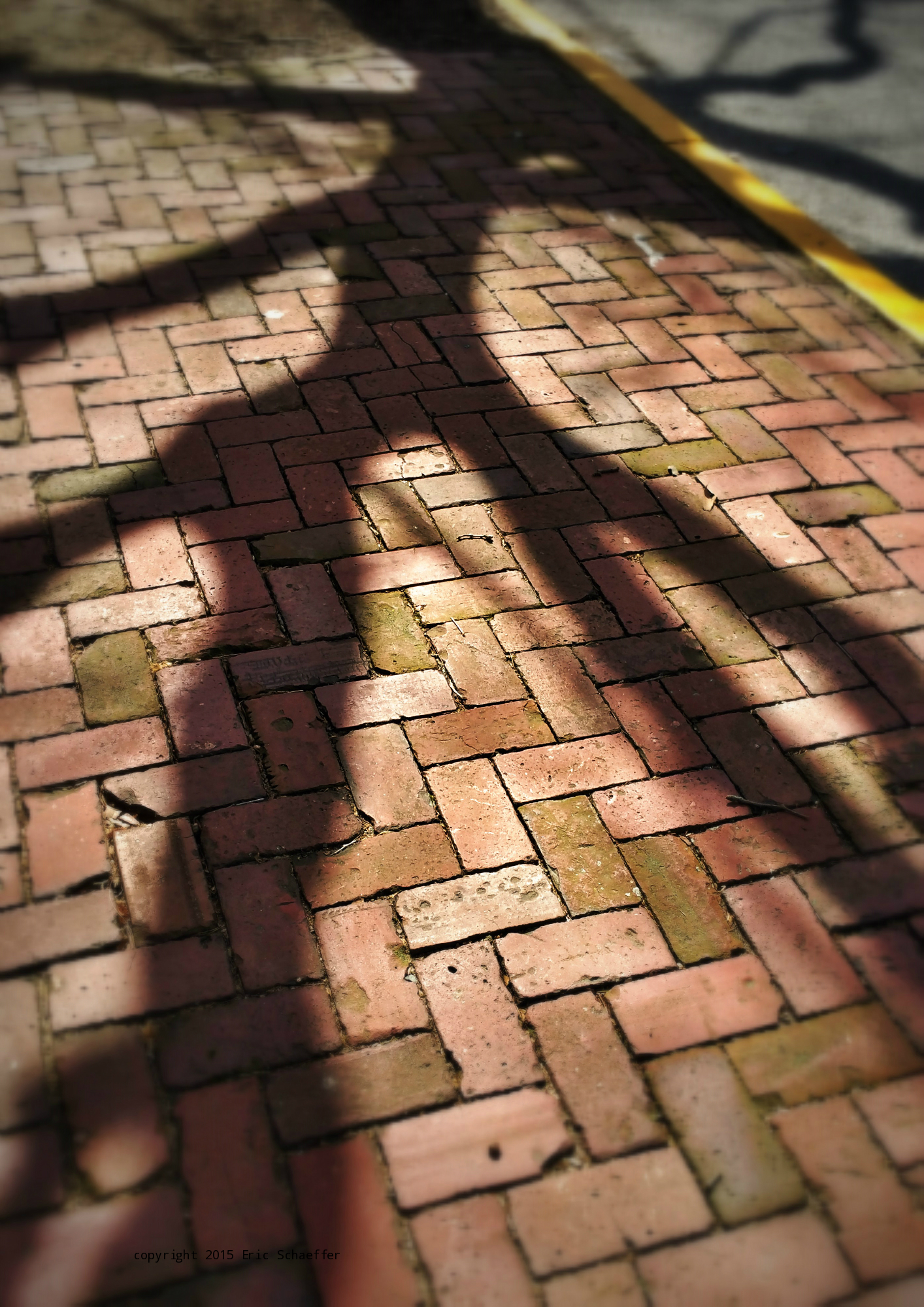 brickwalk.jpg