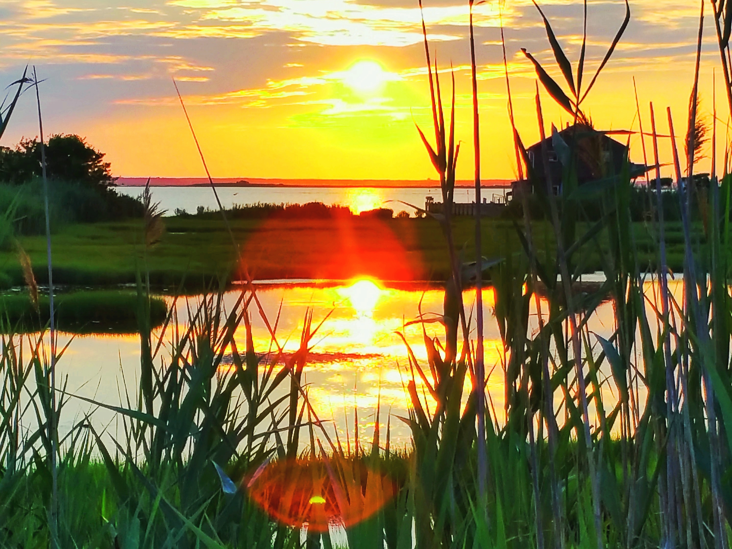 sunset-reeds-pool-2-Ca.jpg