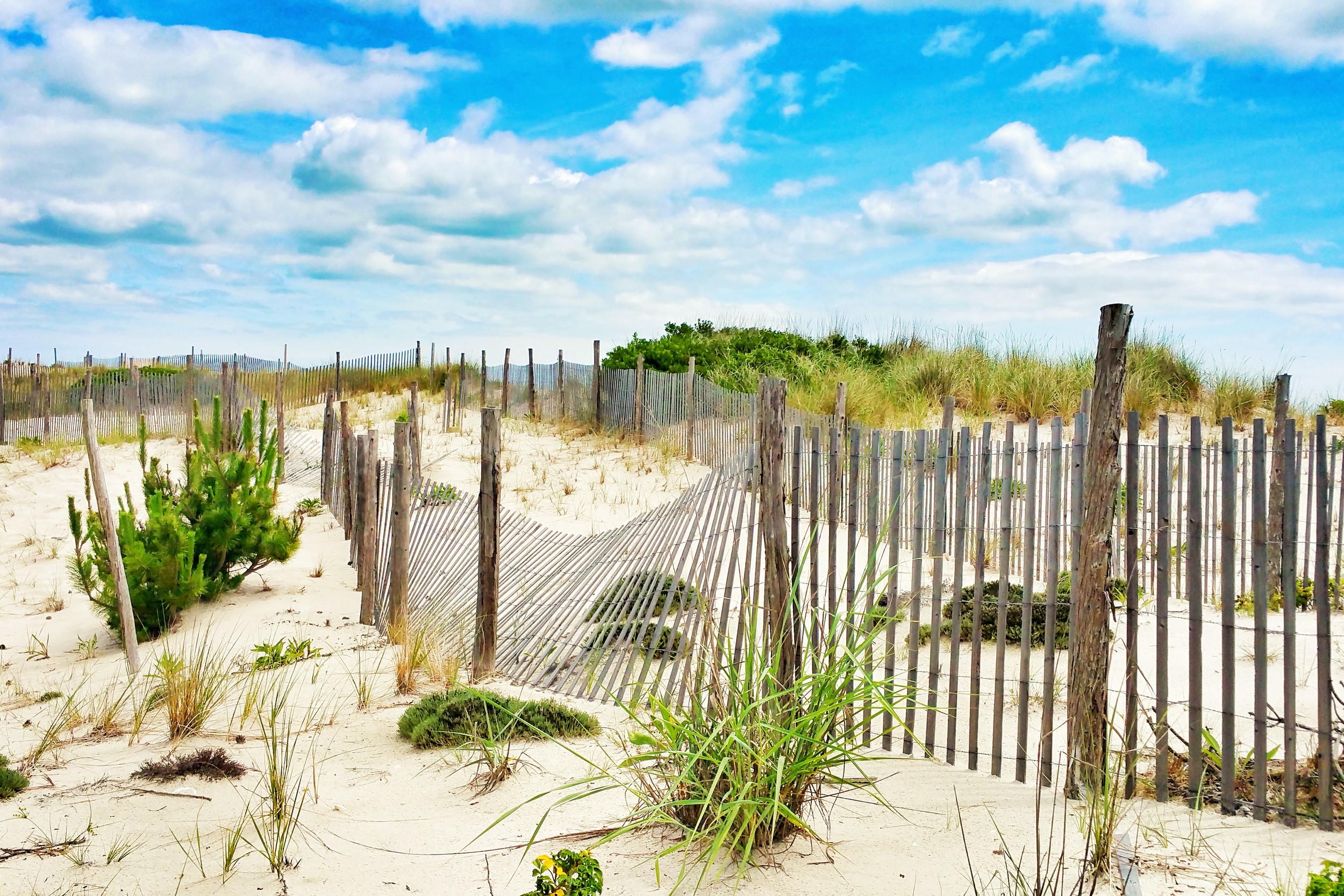 Bright Dunes