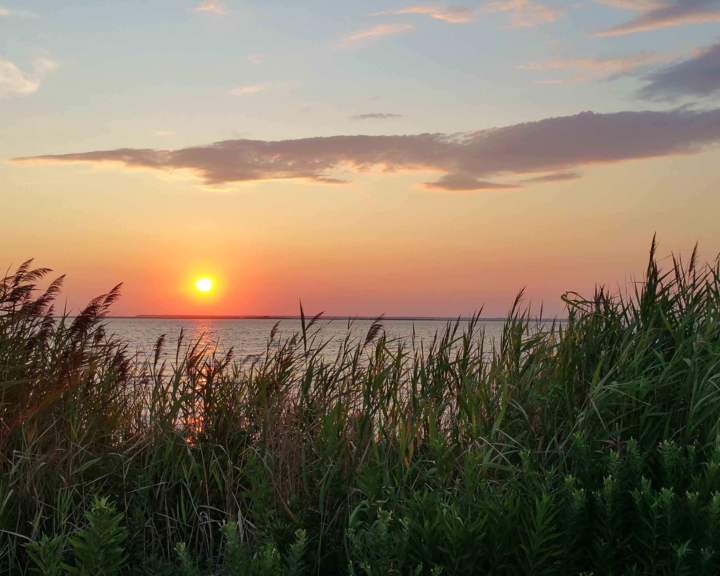 Serene Sunset