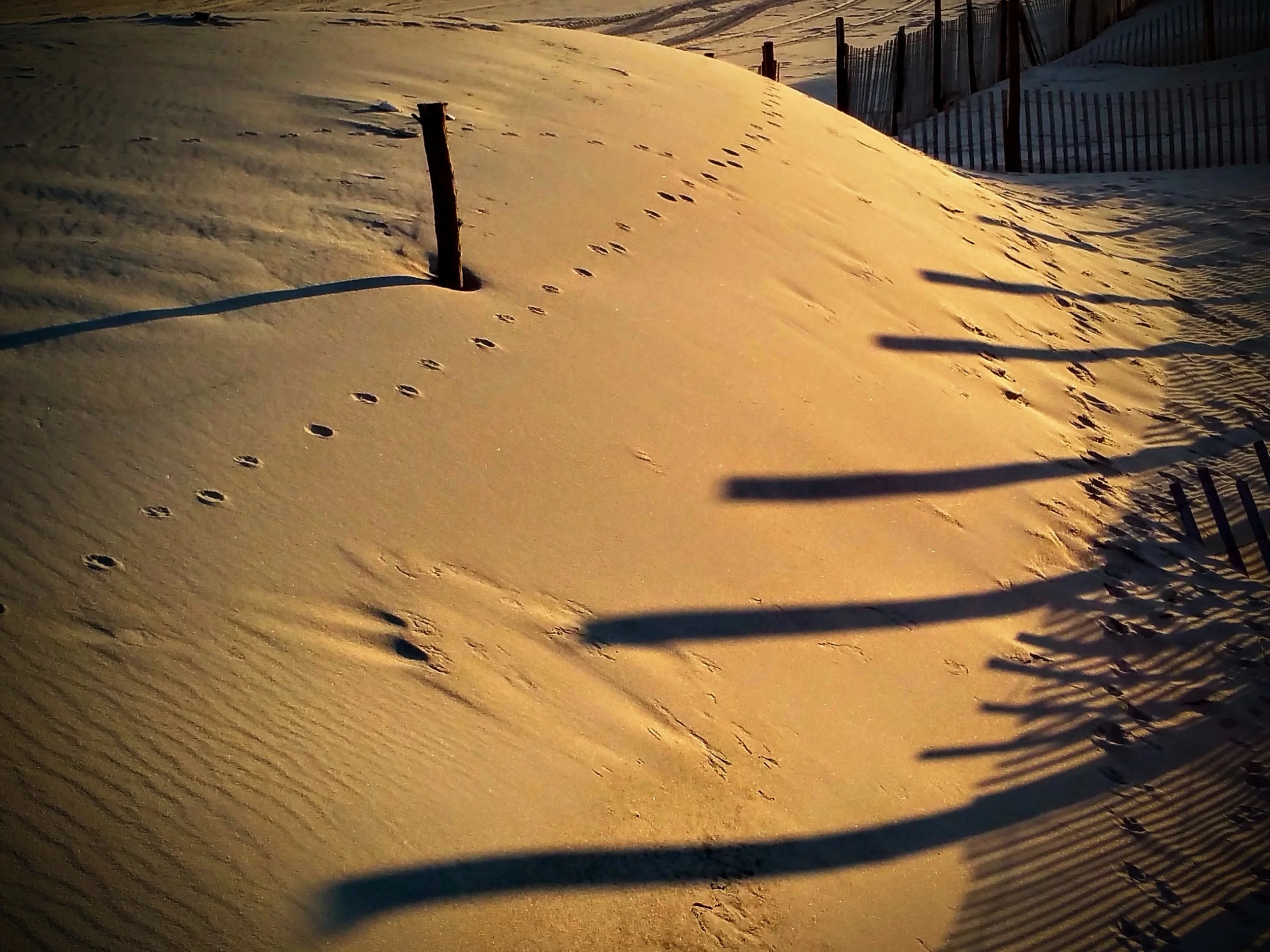 20151205_154922.jpg