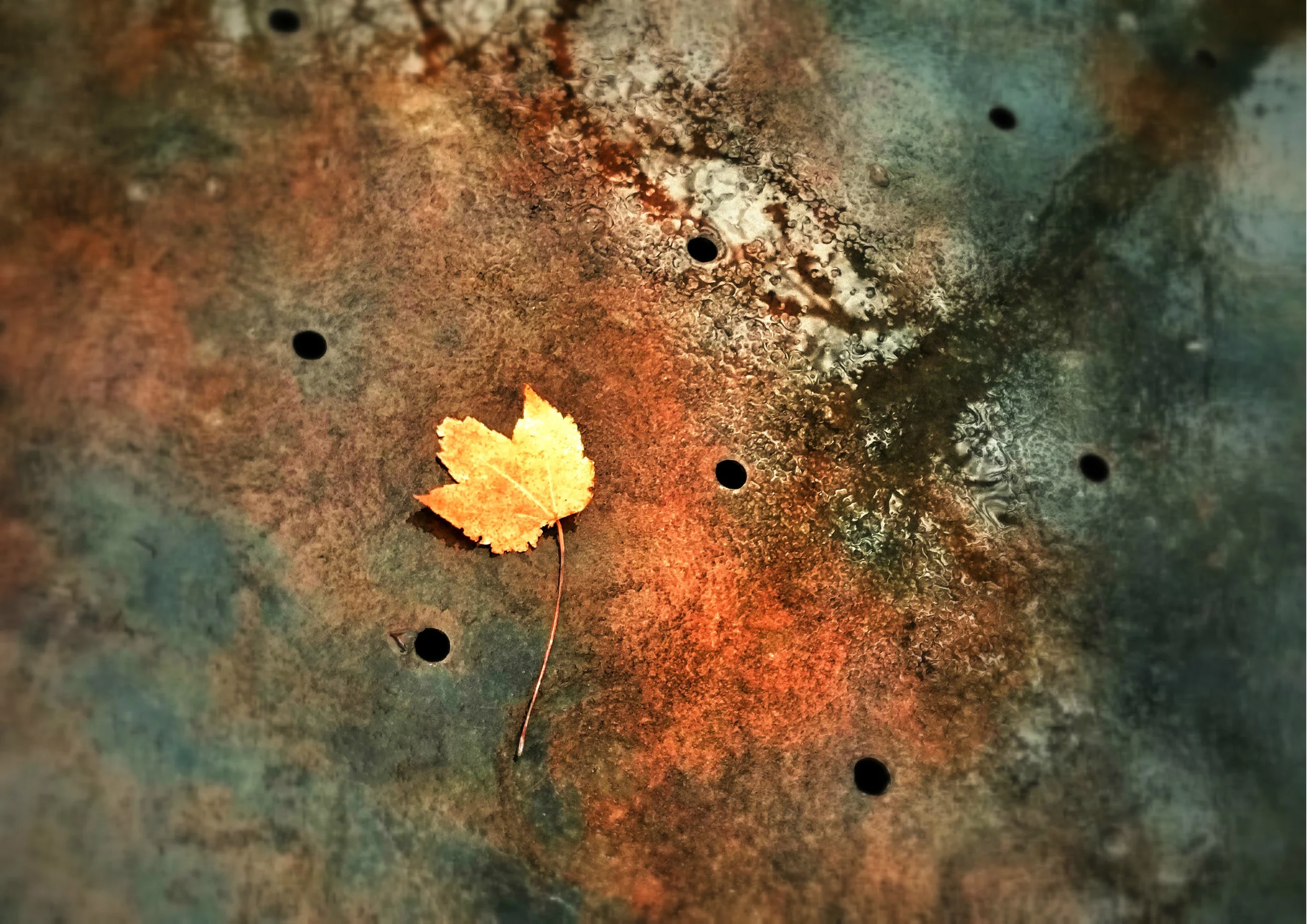 leaf-2e.jpg