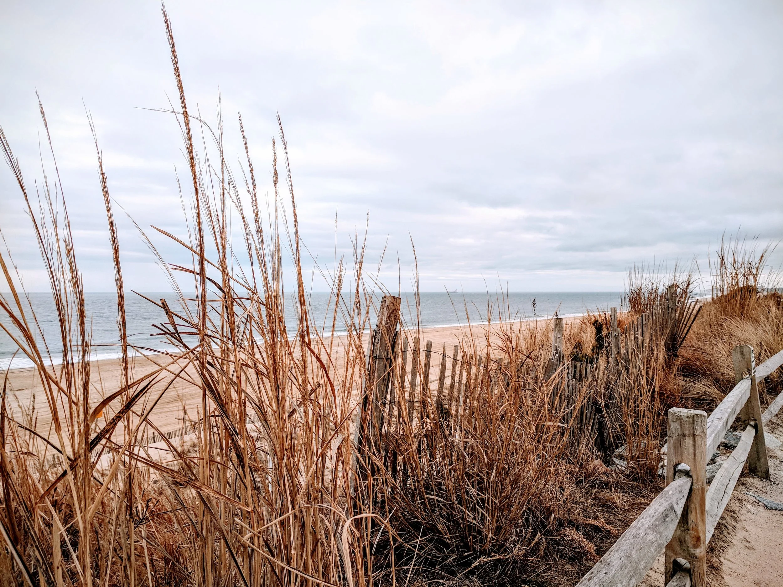 Cape Henlopen 2