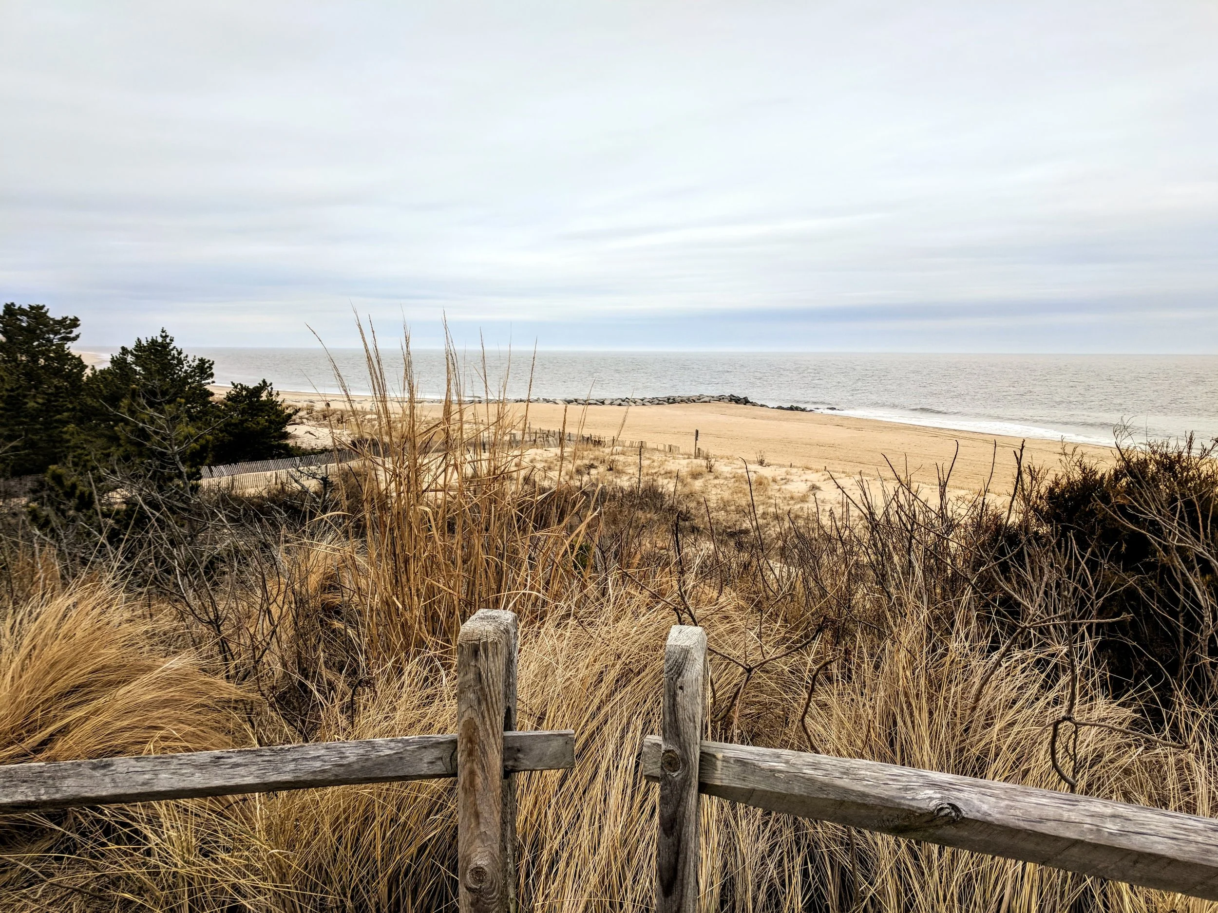 Cape Henlopen 1