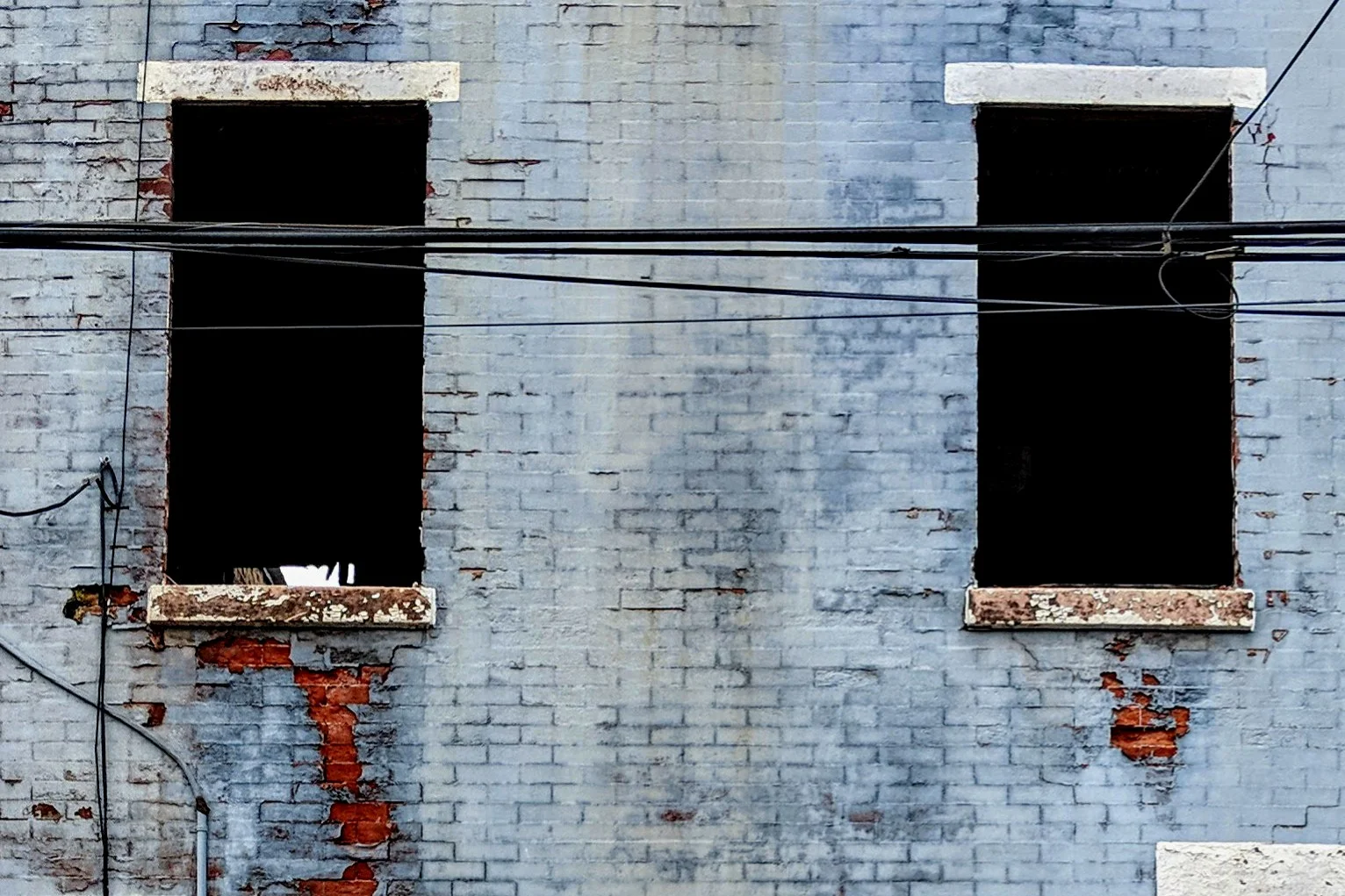 Dark Windows