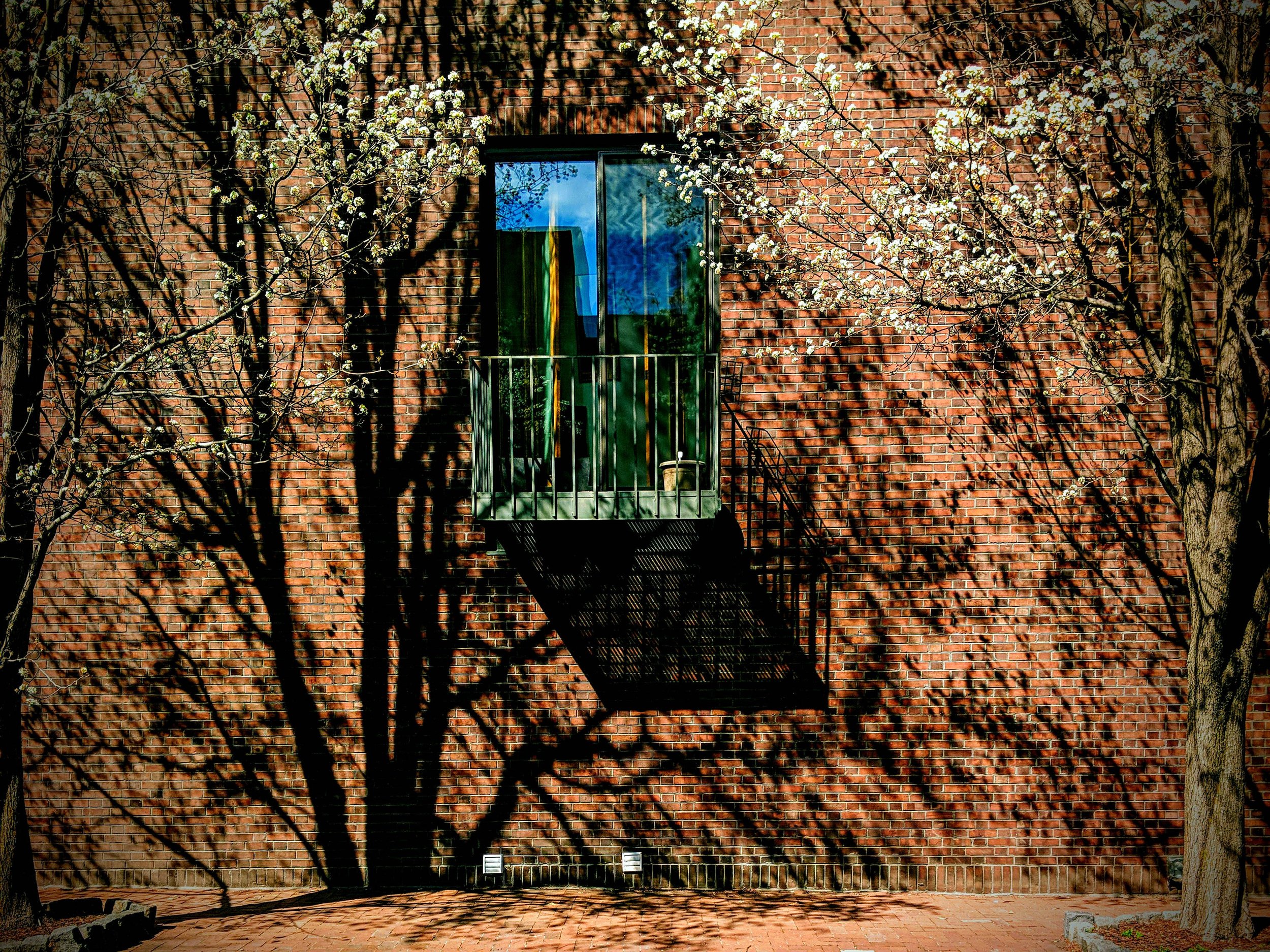 Spring Window