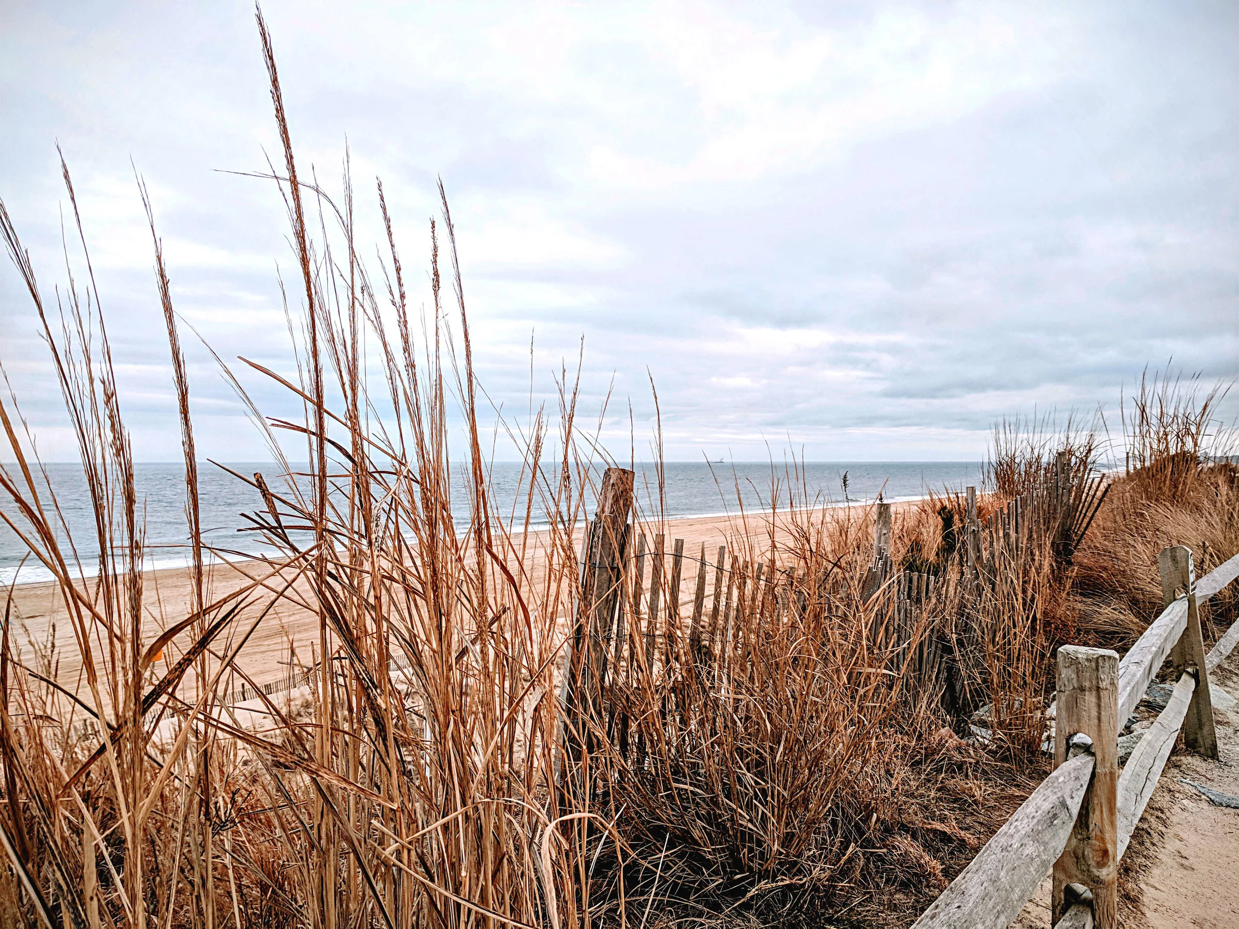 capefence_20180219_161157.jpg